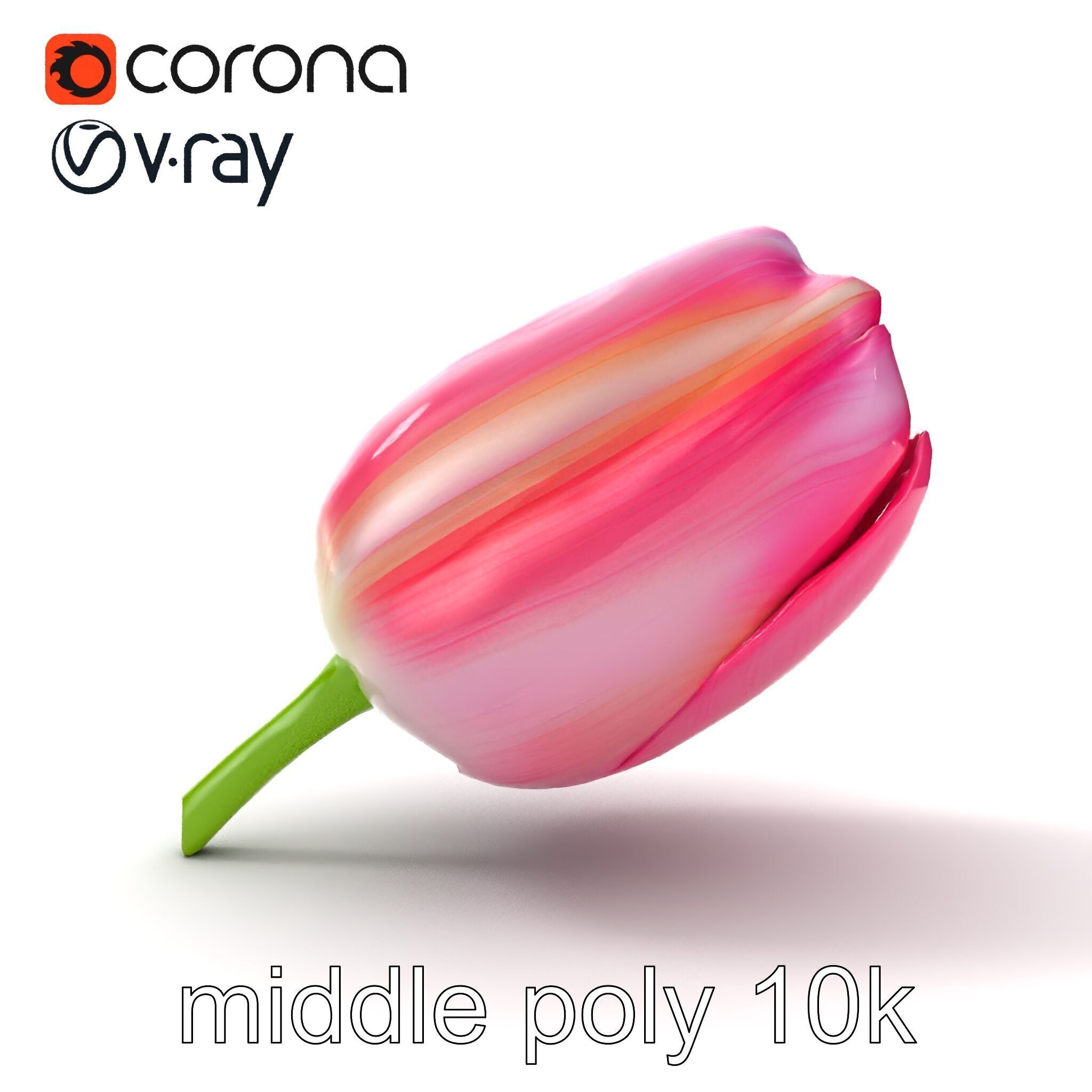 Pink Tulip Flower Realistic Model Pack Low-poly 3D model_25