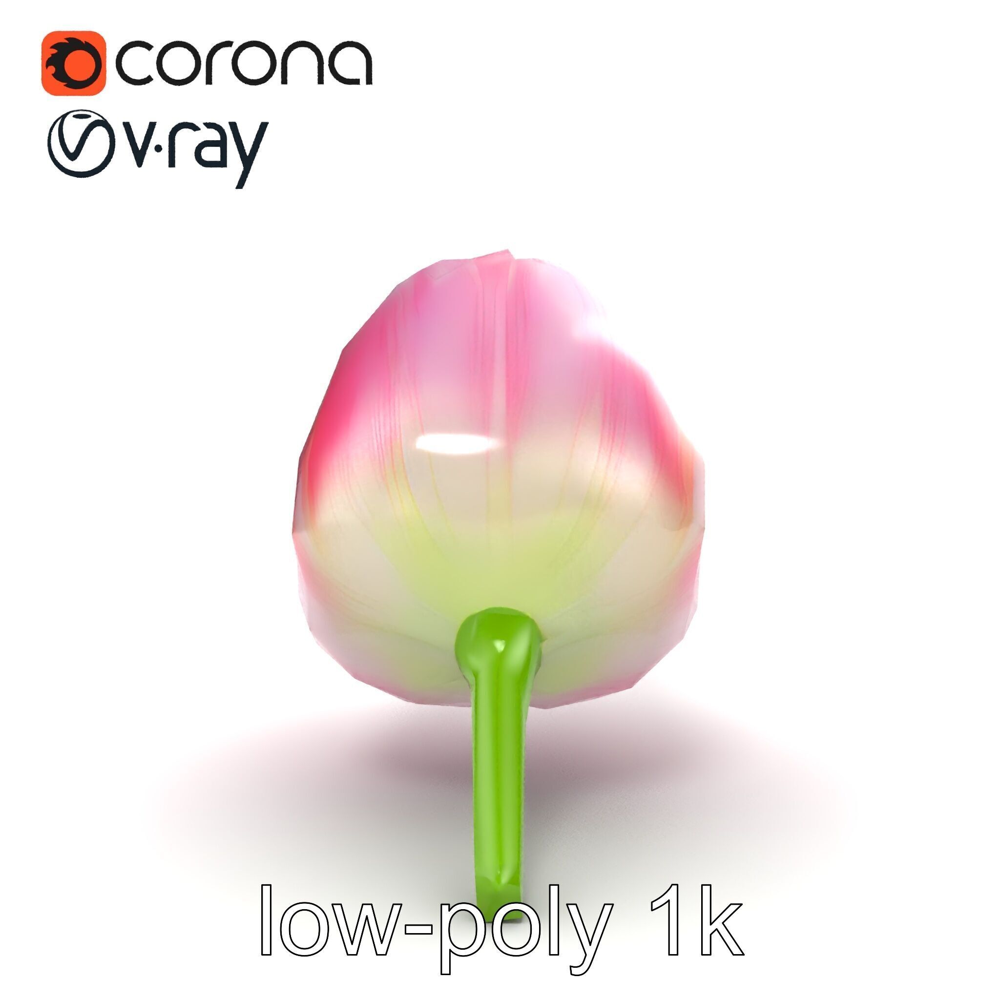 Pink Tulip Flower Realistic Model Pack Low-poly 3D model_12