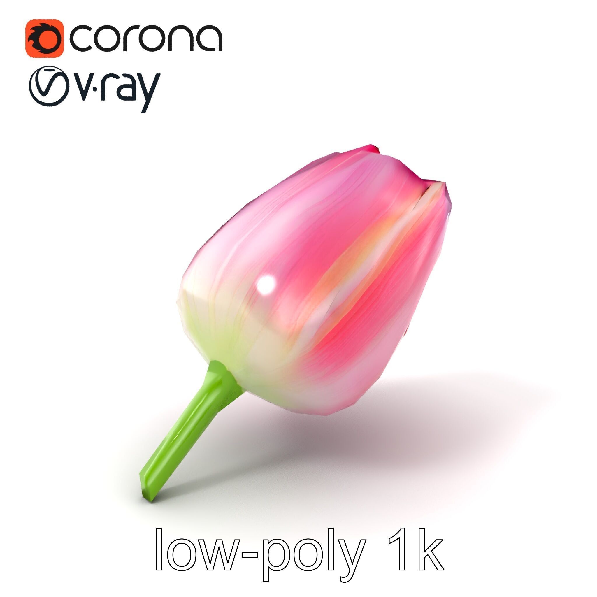 Pink Tulip Flower Realistic Model Pack Low-poly 3D model_5