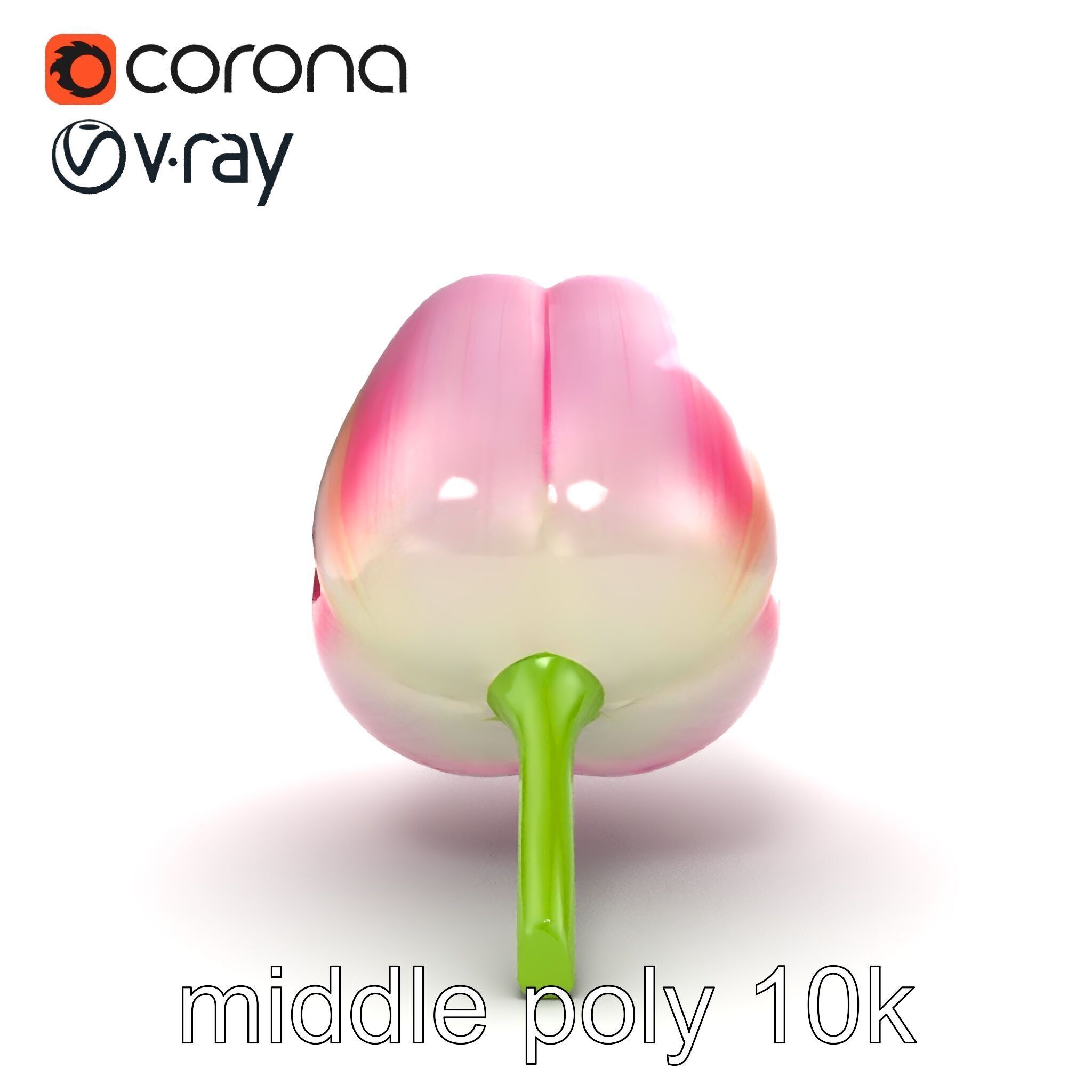 Pink Tulip Flower Realistic Model Pack Low-poly 3D model_17