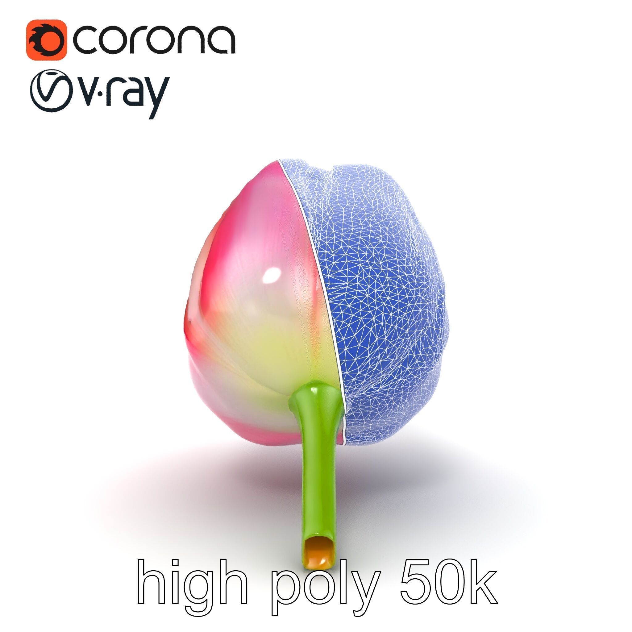 Pink Tulip Flower Realistic Model Pack Low-poly 3D model_32