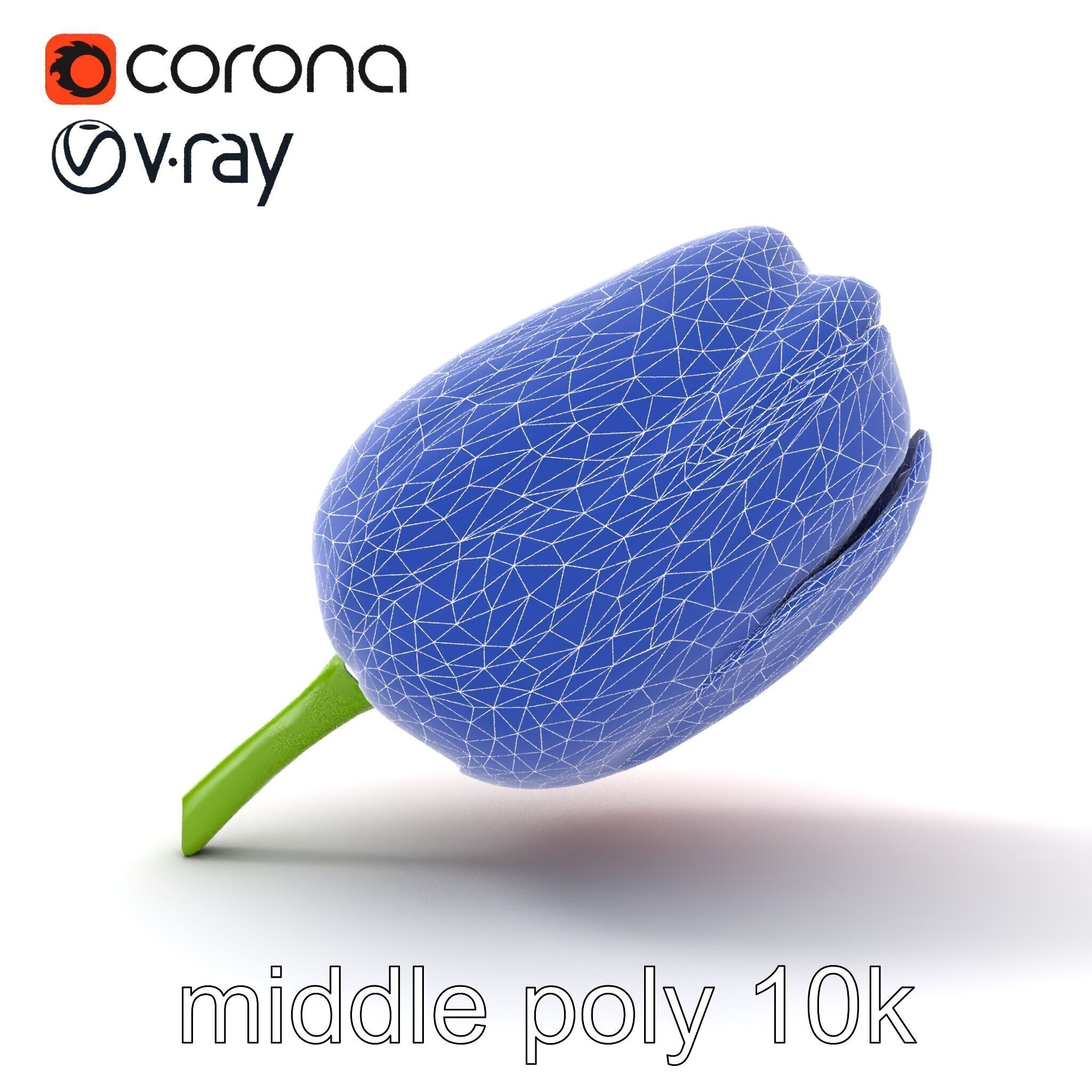 Pink Tulip Flower Realistic Model Pack Low-poly 3D model_19