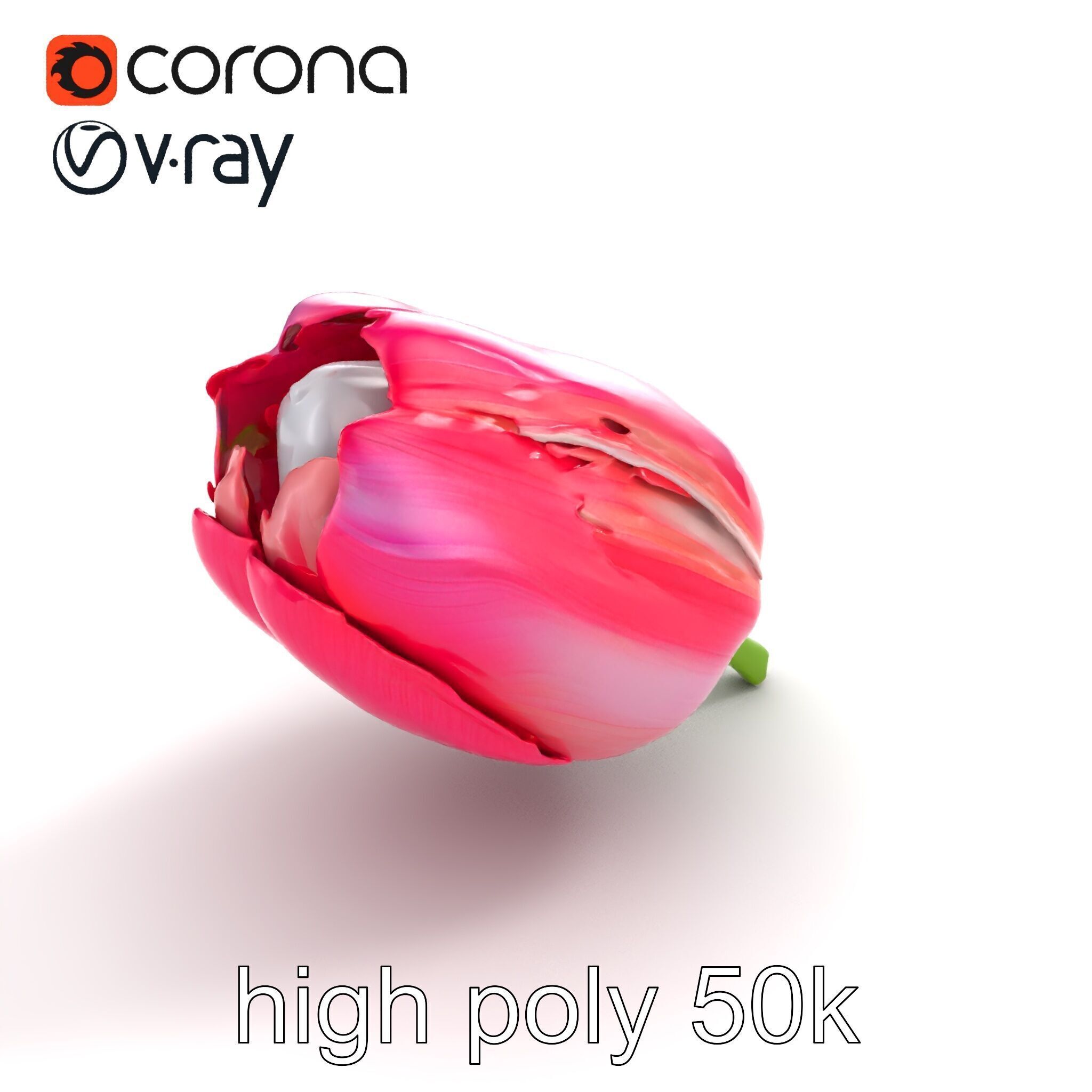 Pink Tulip Flower Realistic Model Pack Low-poly 3D model_11