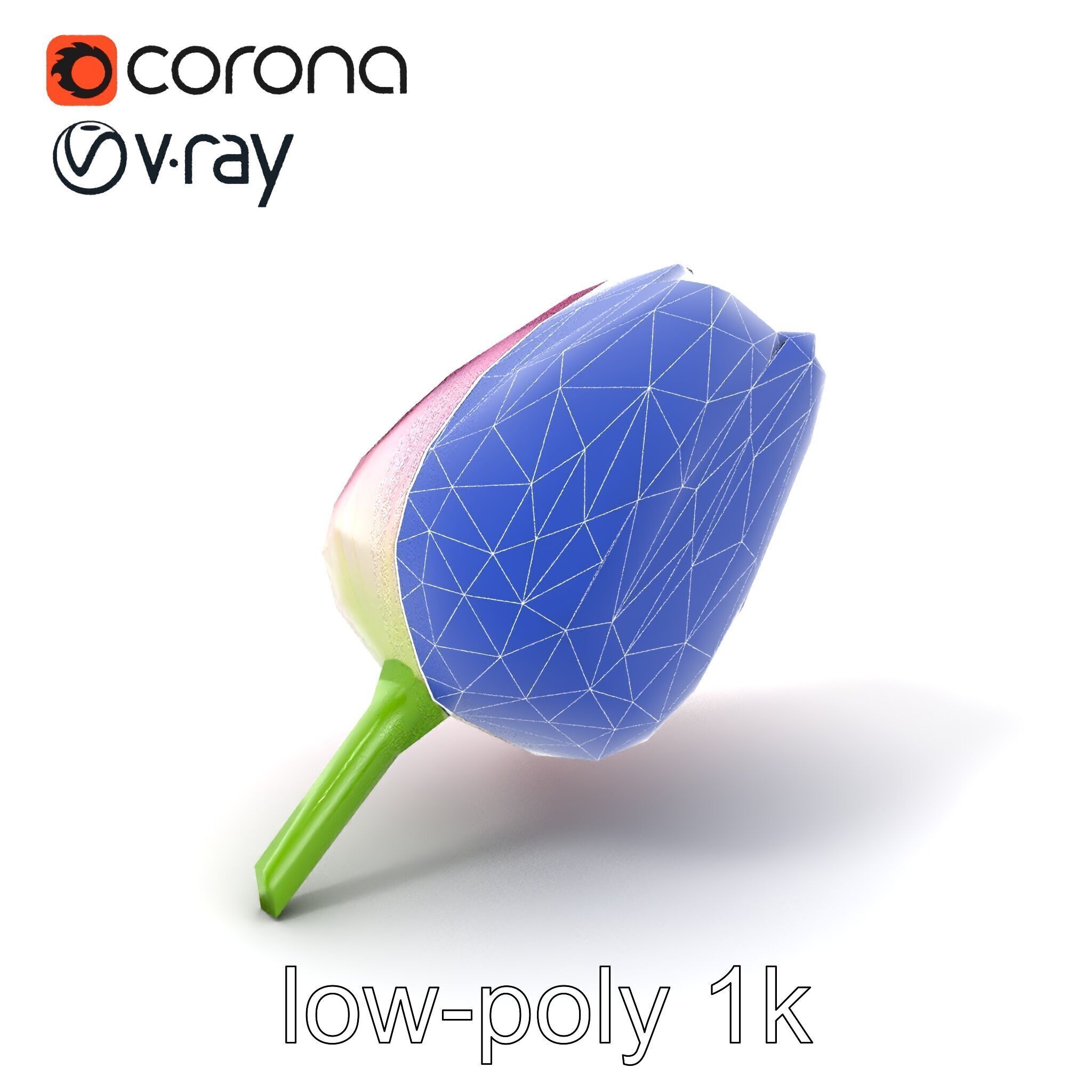 Pink Tulip Flower Realistic Model Pack Low-poly 3D model_7