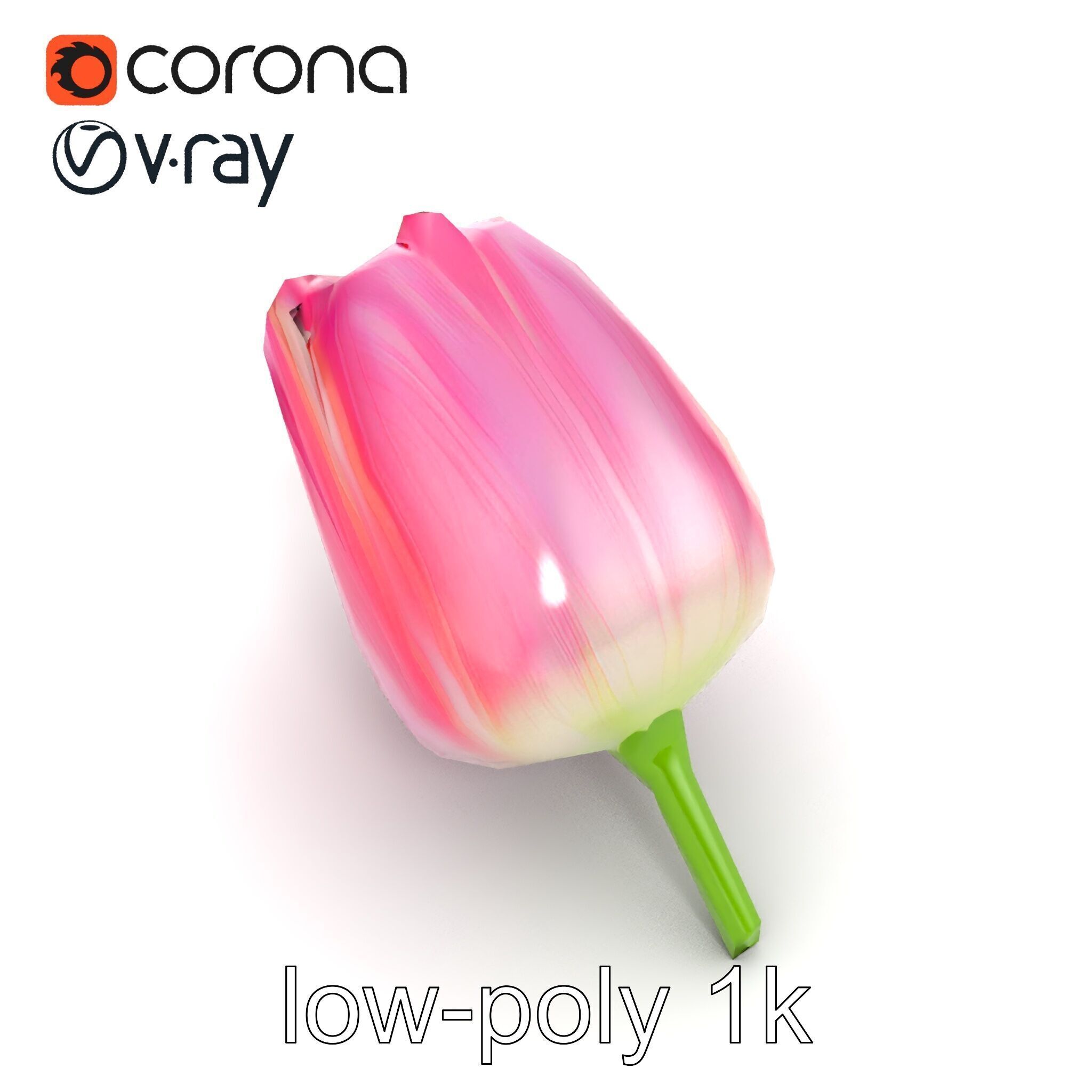 Pink Tulip Flower Realistic Model Pack Low-poly 3D model_27