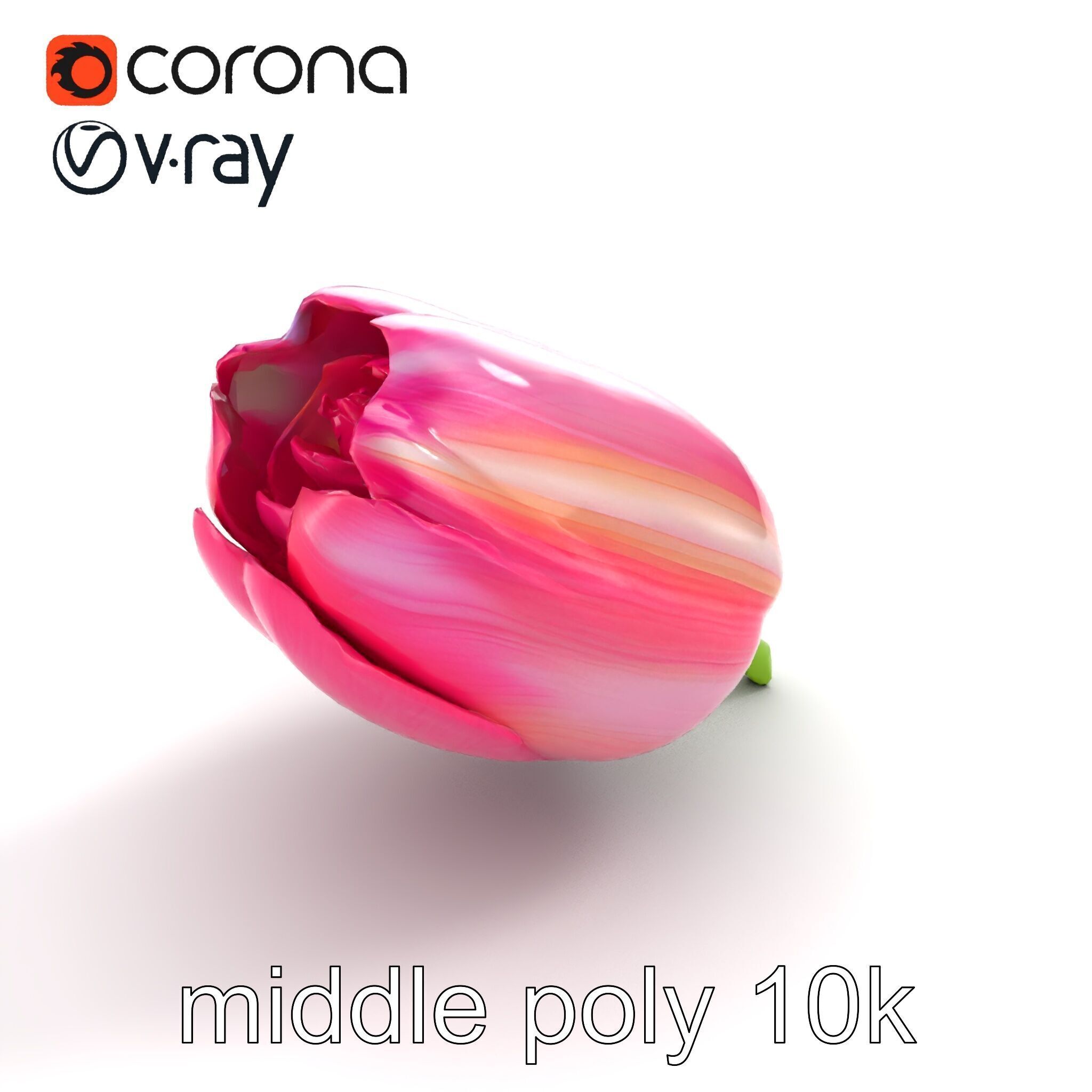 Pink Tulip Flower Realistic Model Pack Low-poly 3D model_8