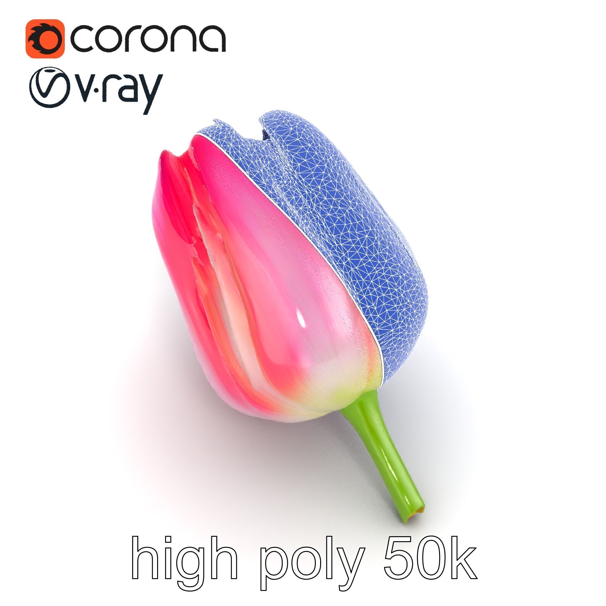 Pink Tulip Flower Realistic Model Pack Low-poly 3D model_24