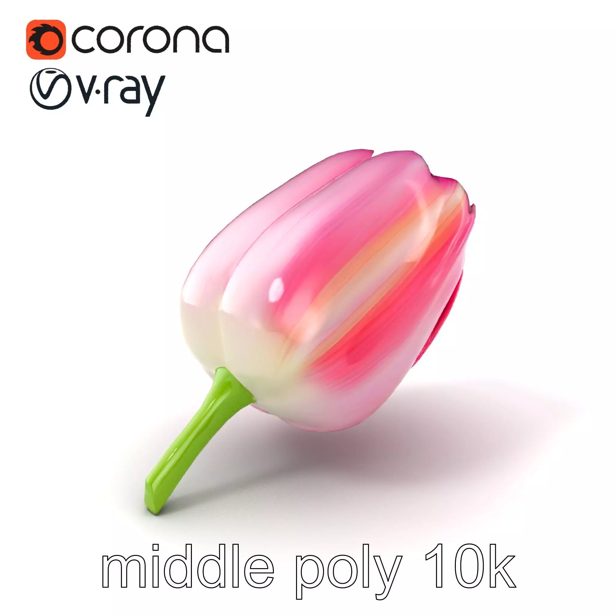 Pink Tulip Flower Realistic Model Pack Low-poly 3D model_0