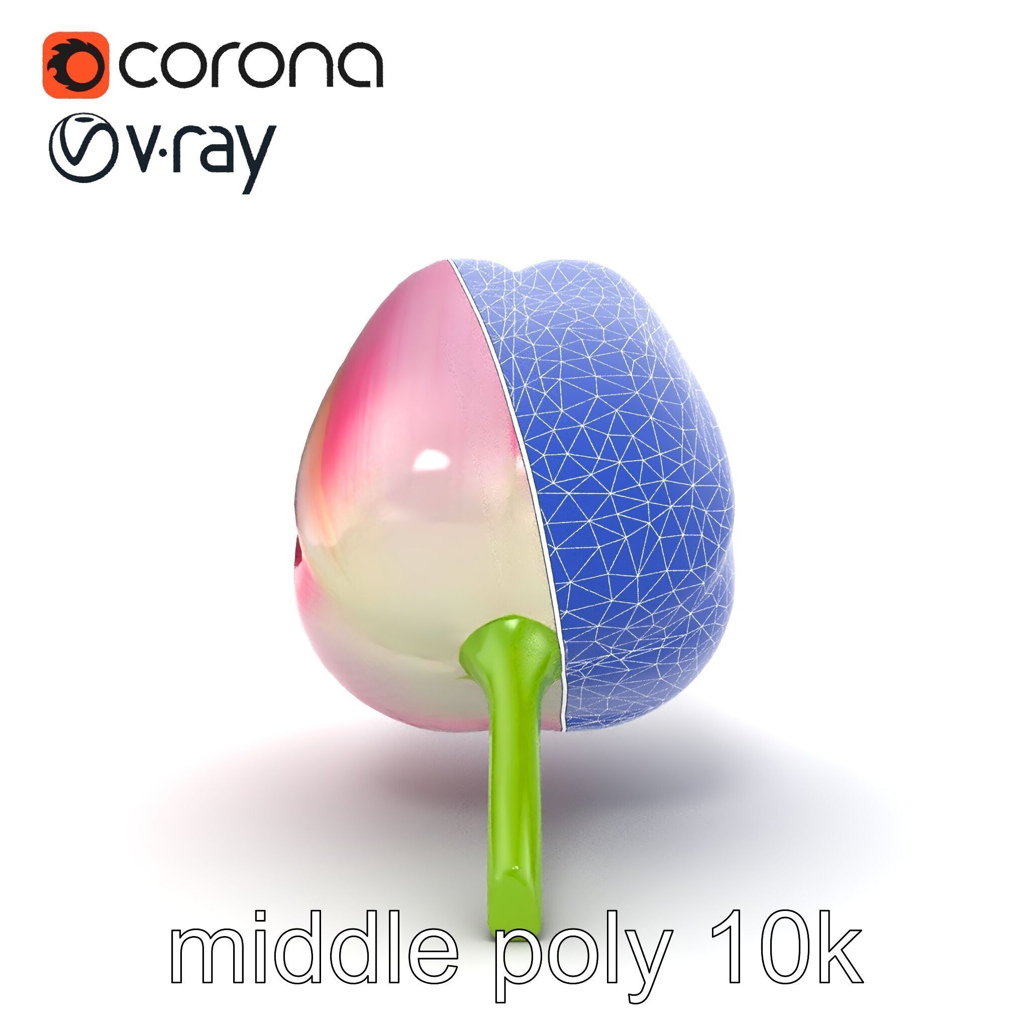 Pink Tulip Flower Realistic Model Pack Low-poly 3D model_21