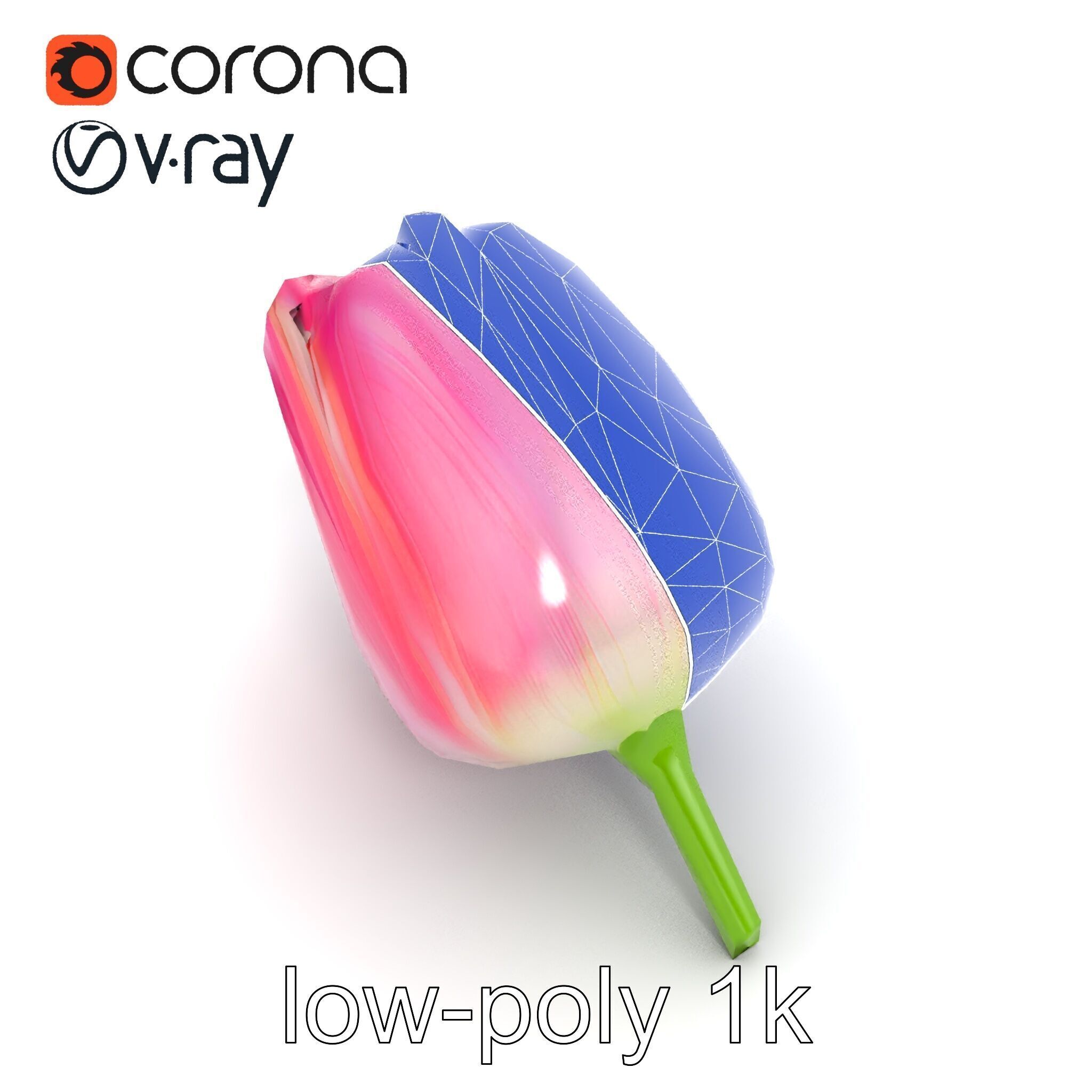 Pink Tulip Flower Realistic Model Pack Low-poly 3D model_29