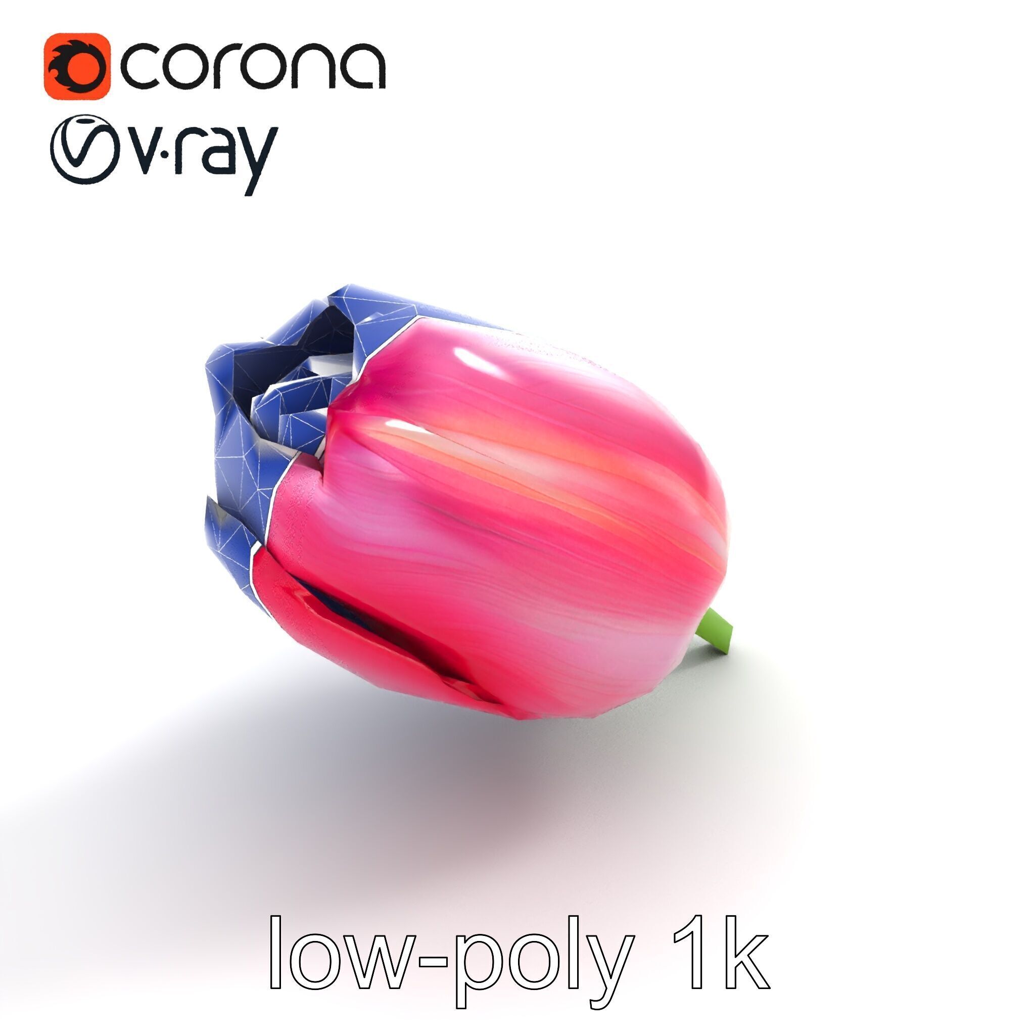 Pink Tulip Flower Realistic Model Pack Low-poly 3D model_26