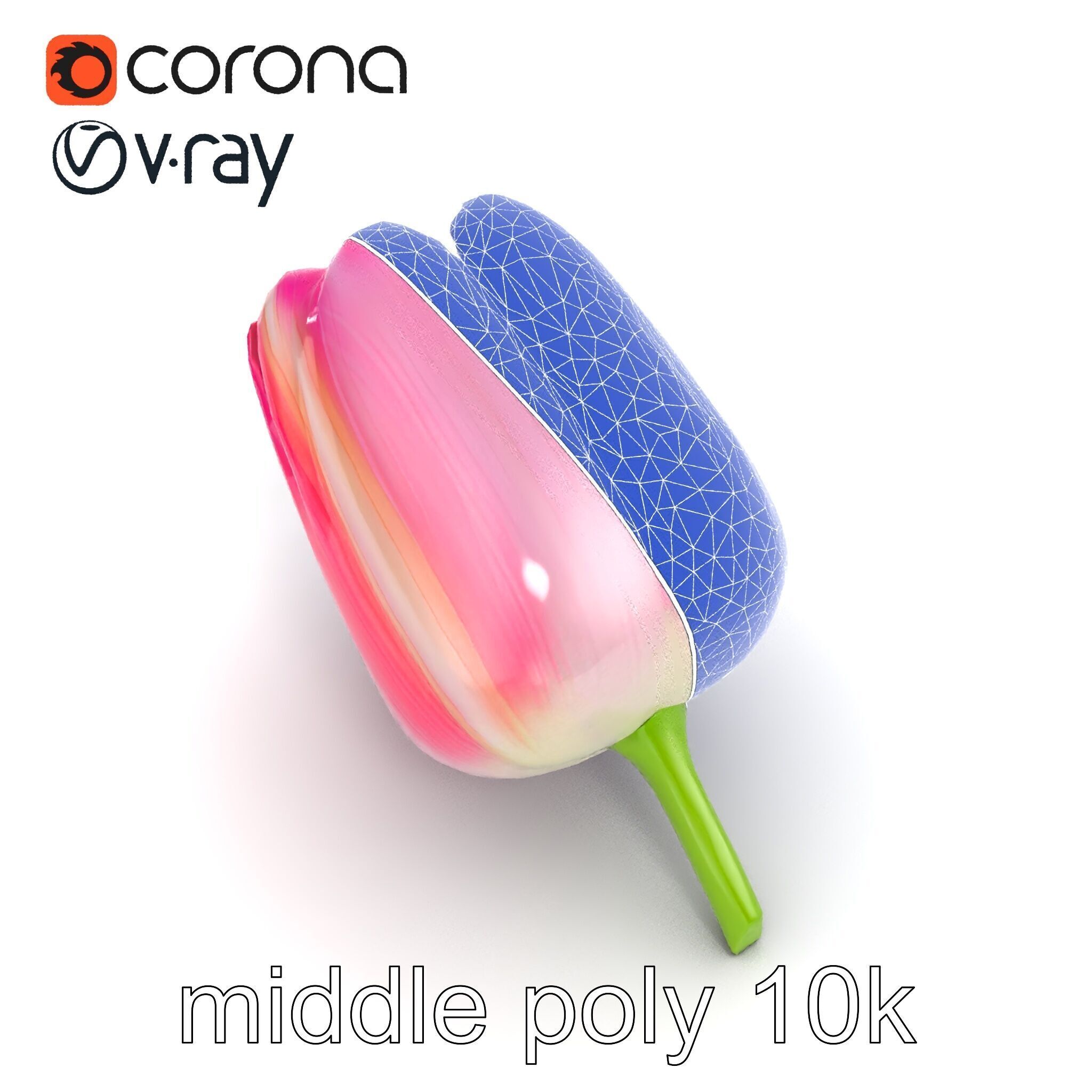 Pink Tulip Flower Realistic Model Pack Low-poly 3D model_16