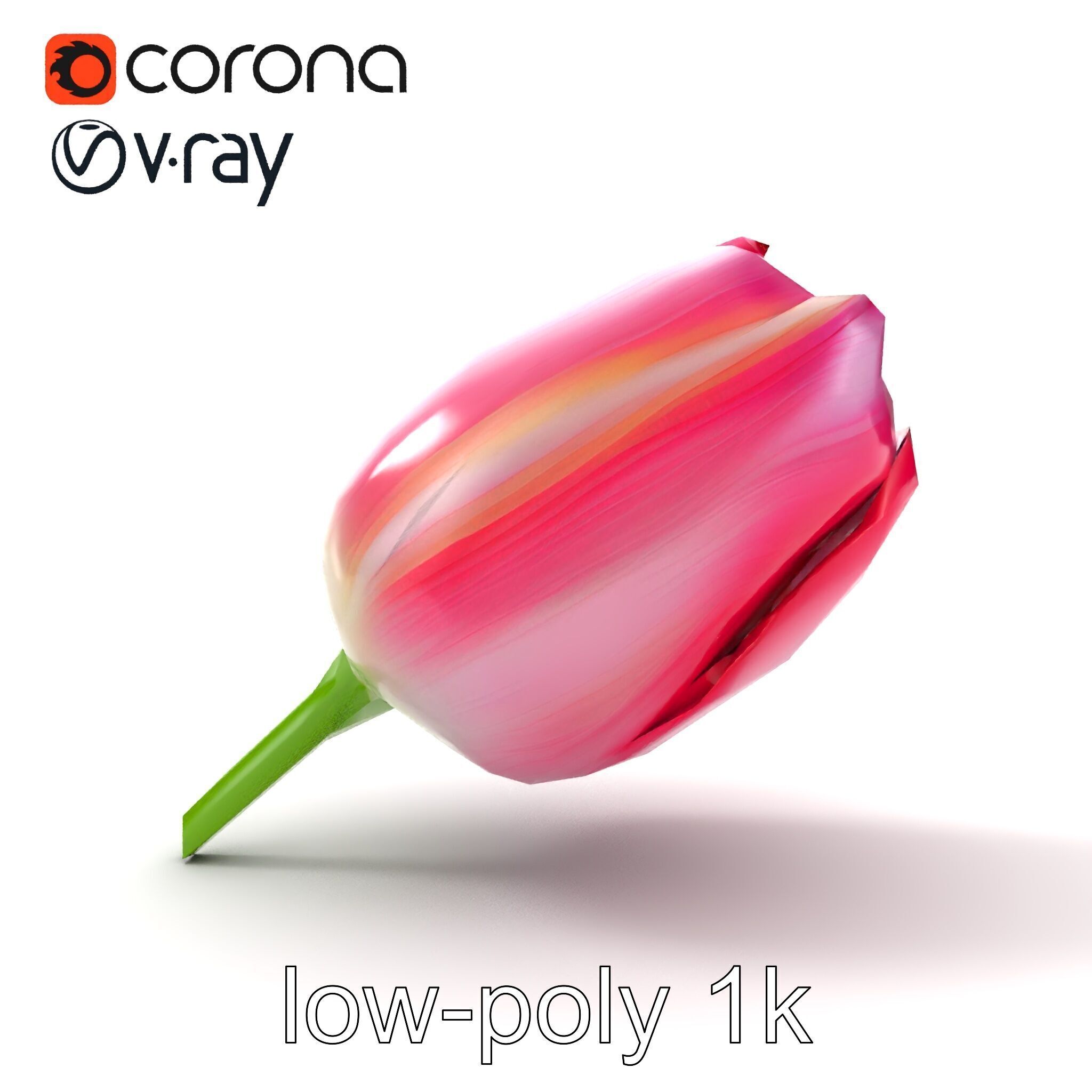 Pink Tulip Flower Realistic Model Pack Low-poly 3D model_22