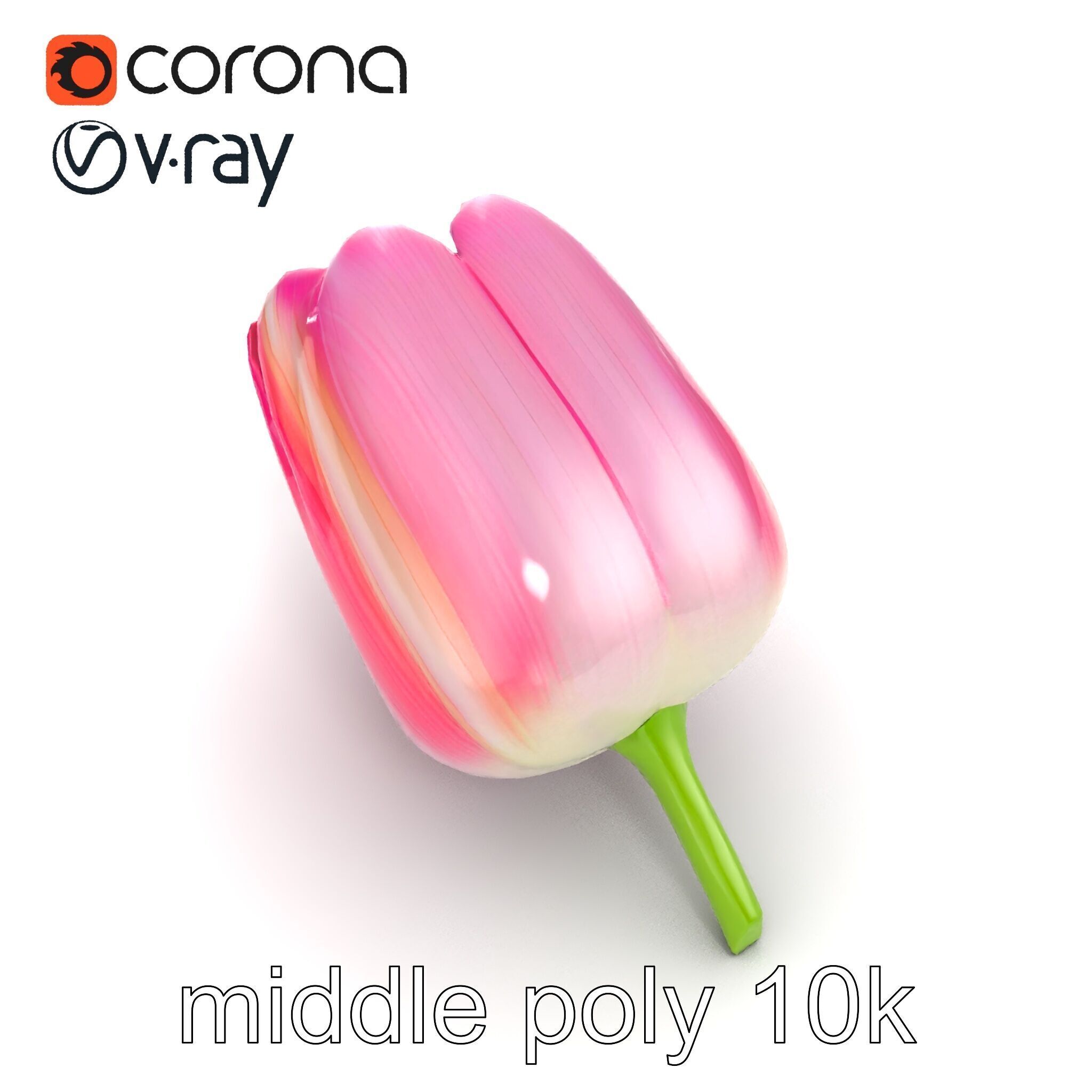 Pink Tulip Flower Realistic Model Pack Low-poly 3D model_15