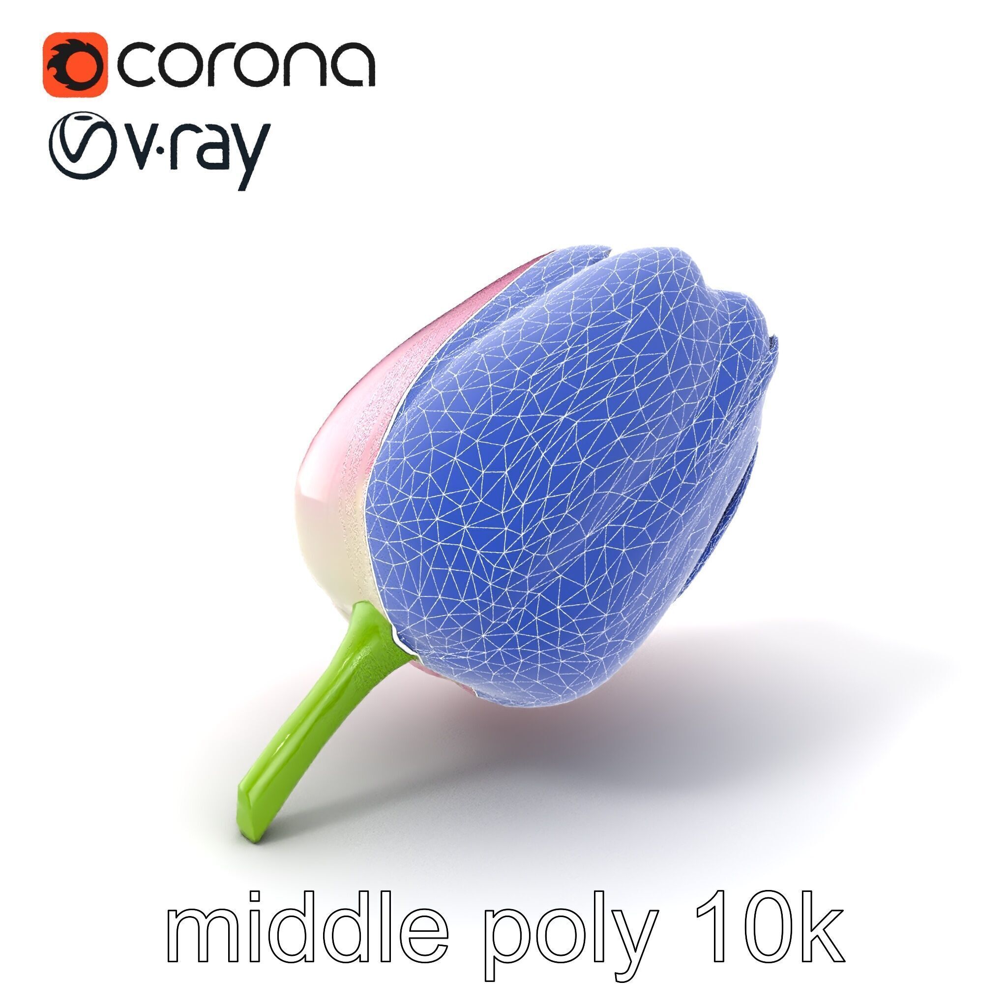 Pink Tulip Flower Realistic Model Pack Low-poly 3D model_6
