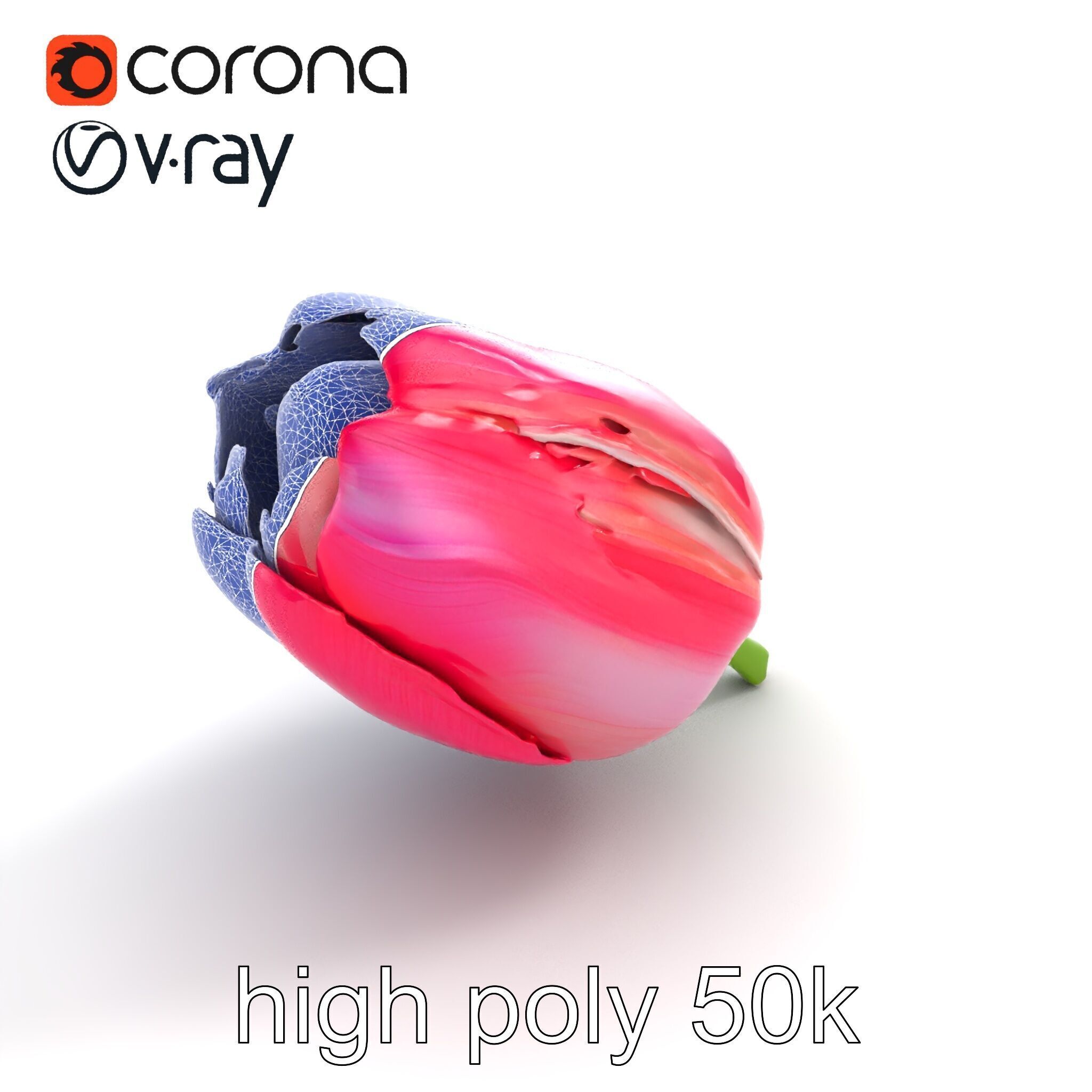 Pink Tulip Flower Realistic Model Pack Low-poly 3D model_23