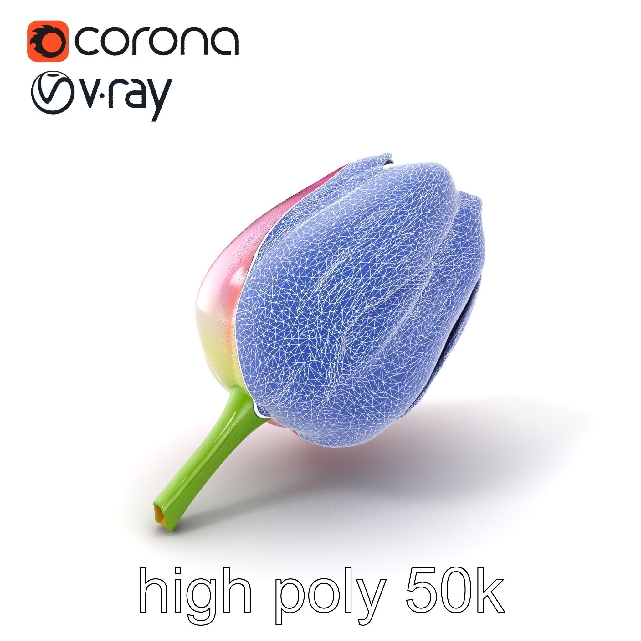 Pink Tulip Flower Realistic Model Pack Low-poly 3D model_10