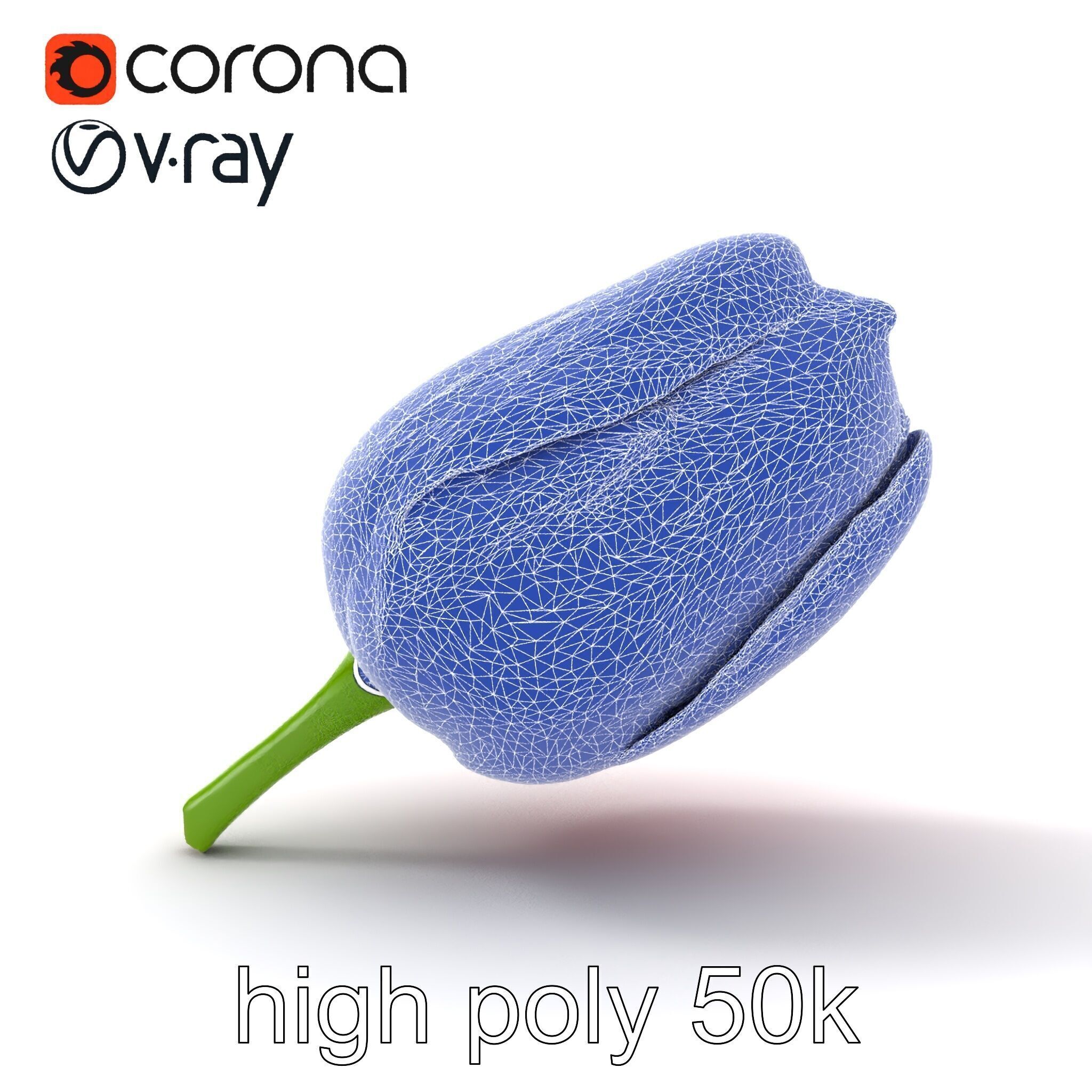 Pink Tulip Flower Realistic Model Pack Low-poly 3D model_18