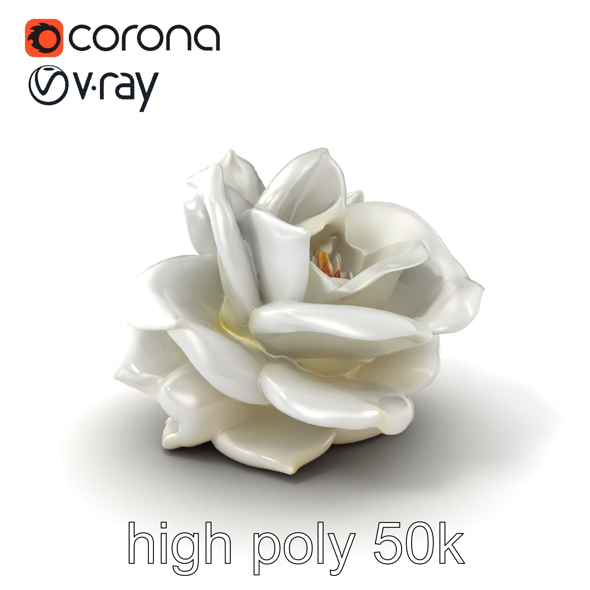 Rosa Alba White Rose Floral Model Pack Low-poly 3D model_2