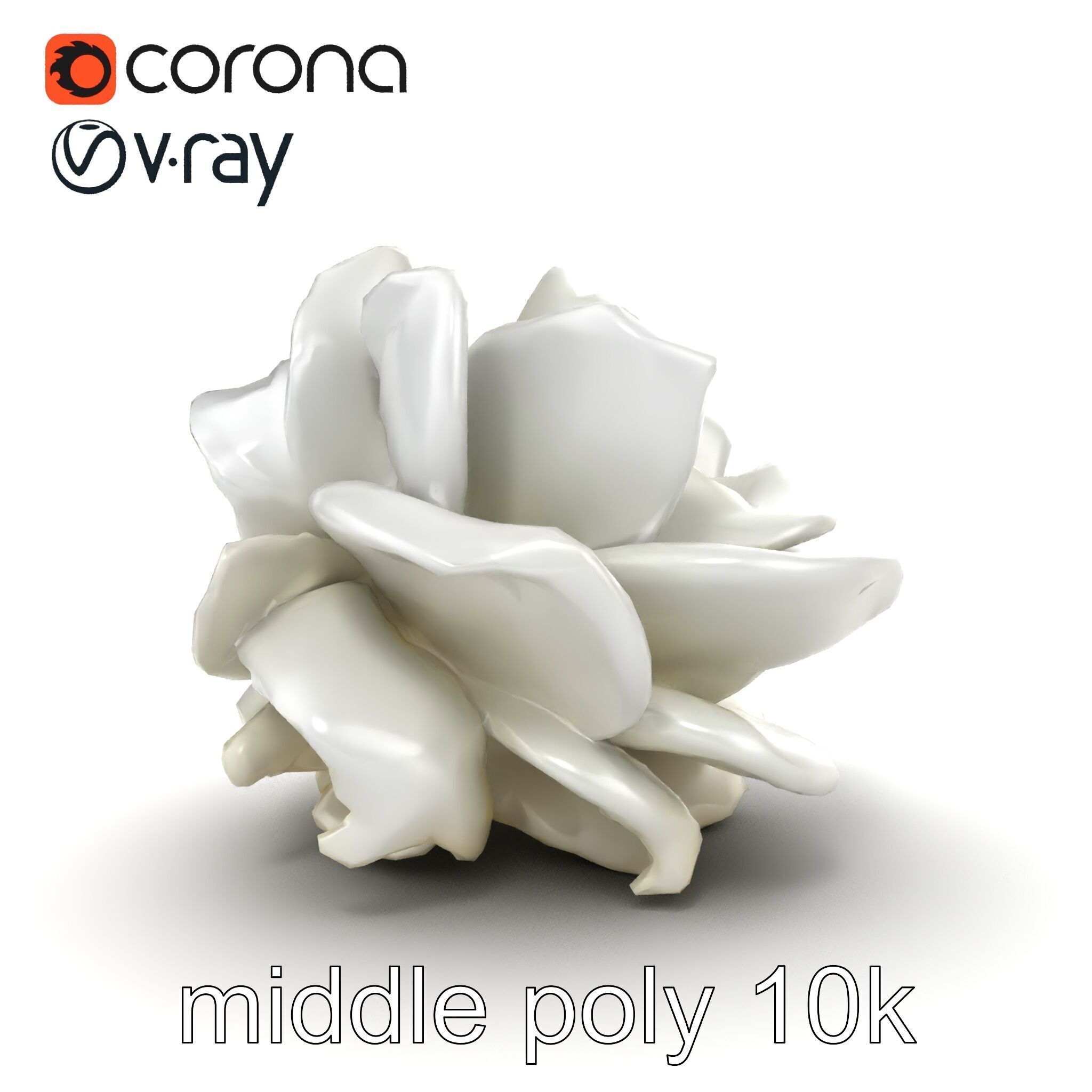 Rosa Alba White Rose Floral Model Pack Low-poly 3D model_23
