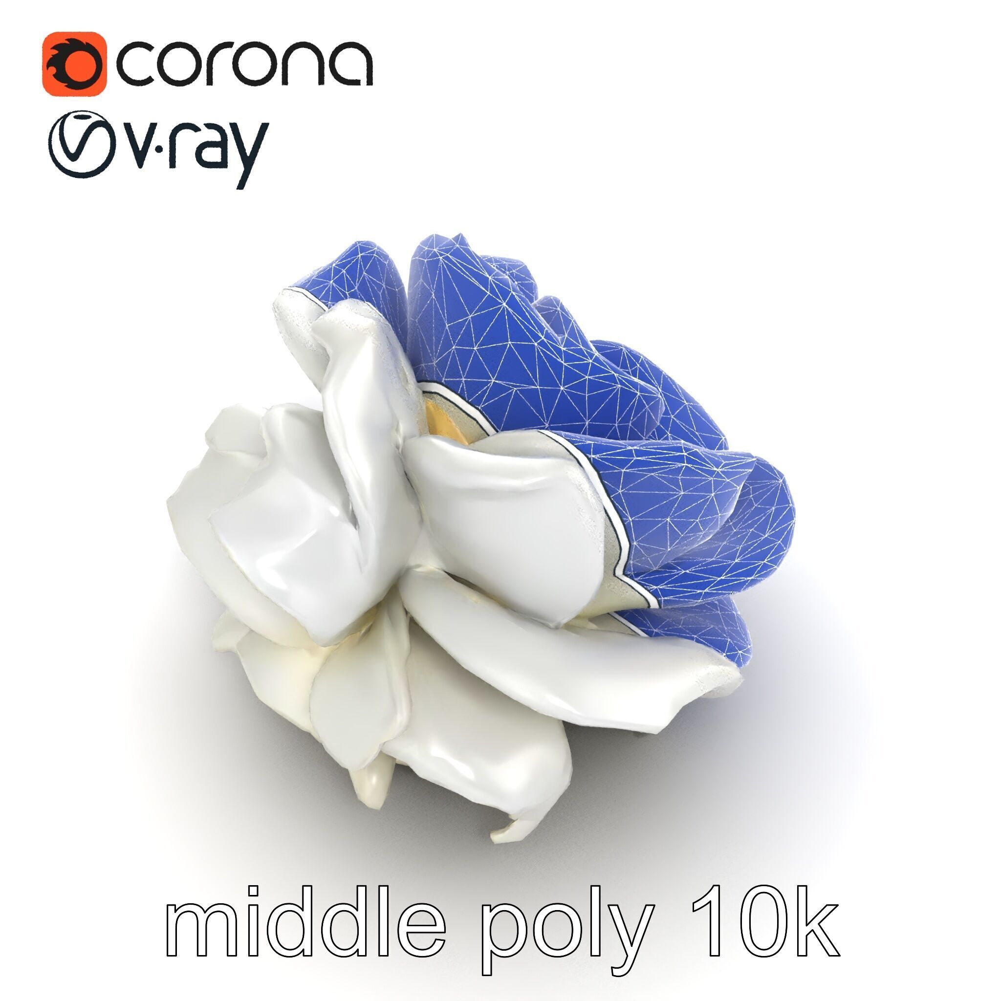 Rosa Alba White Rose Floral Model Pack Low-poly 3D model_12