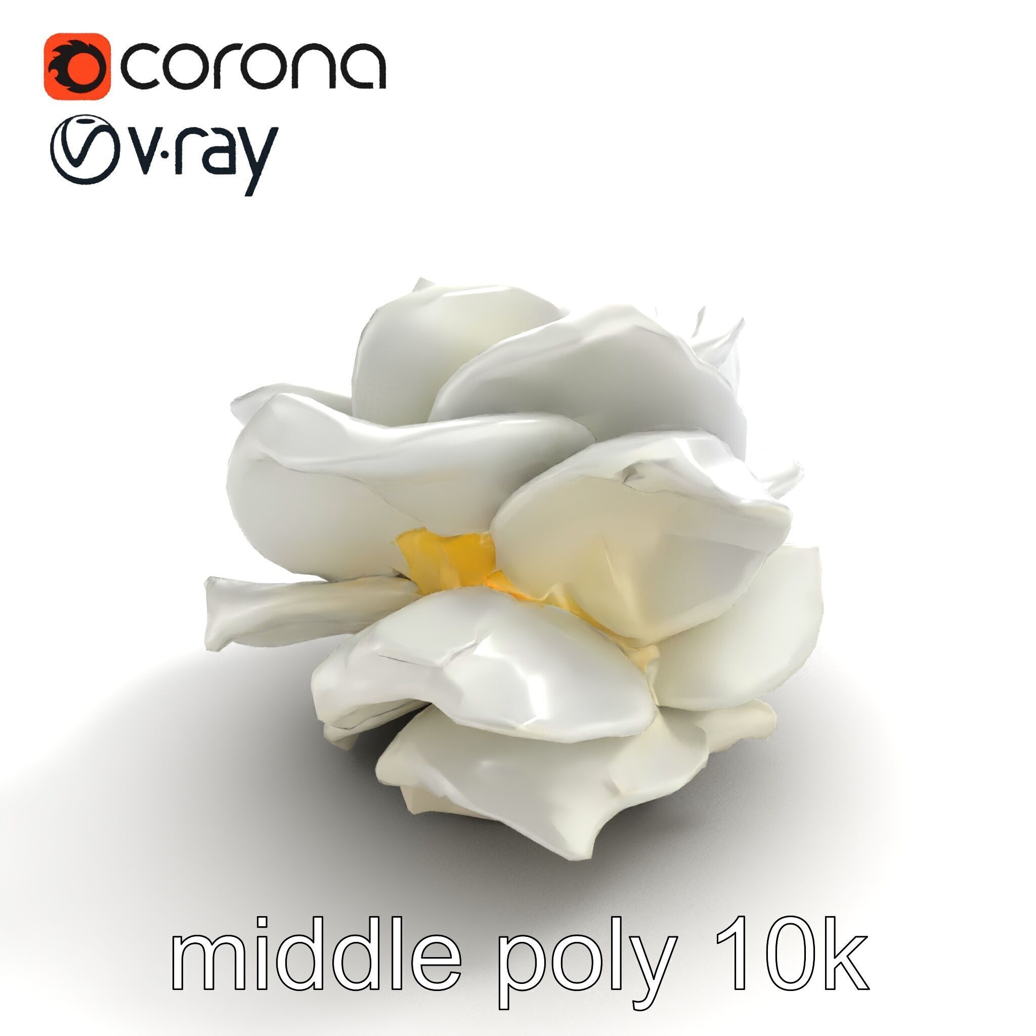 Rosa Alba White Rose Floral Model Pack Low-poly 3D model_7
