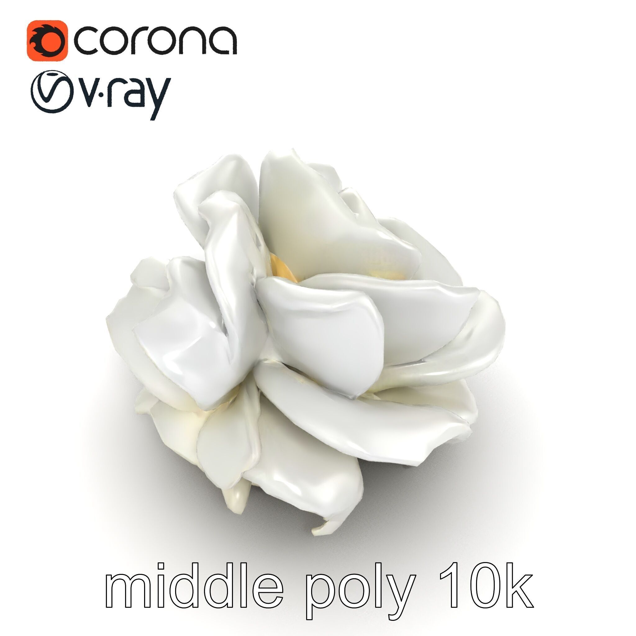 Rosa Alba White Rose Floral Model Pack Low-poly 3D model_26