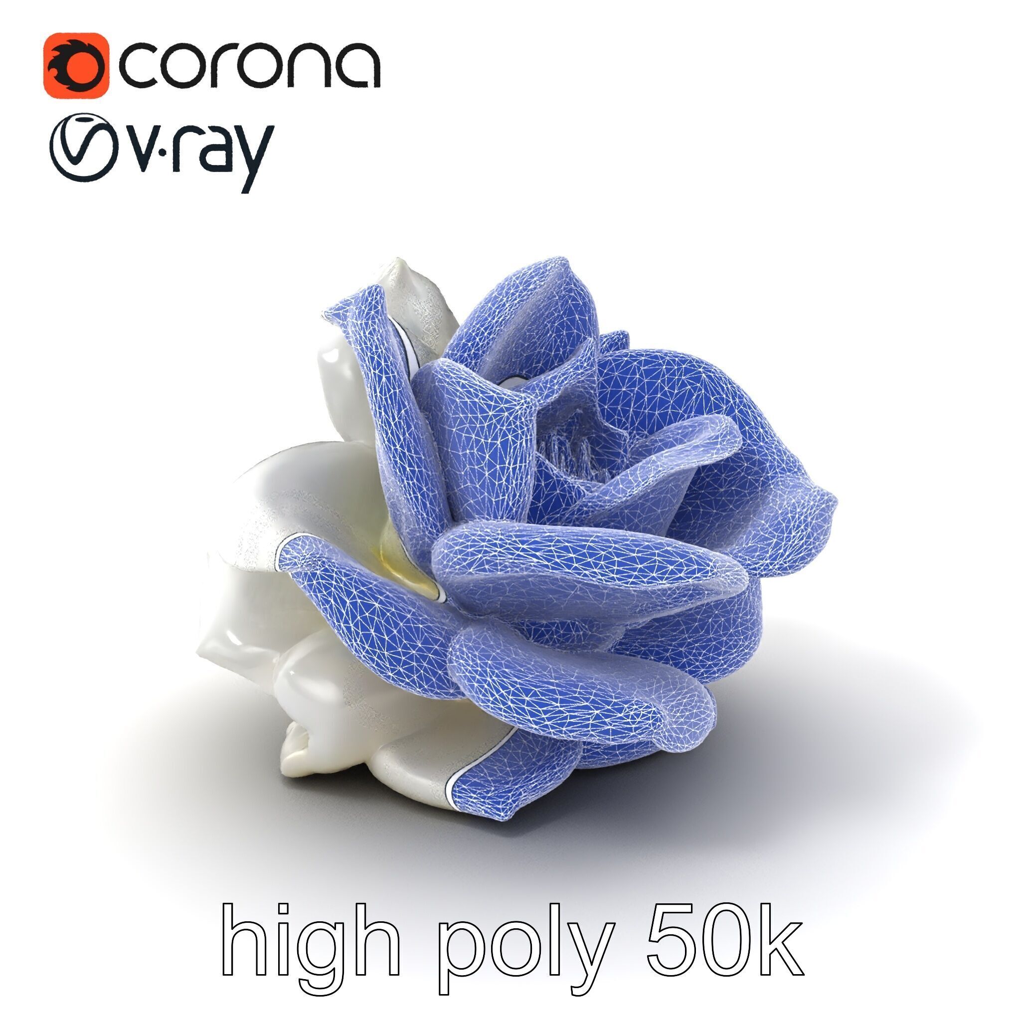 Rosa Alba White Rose Floral Model Pack Low-poly 3D model_1