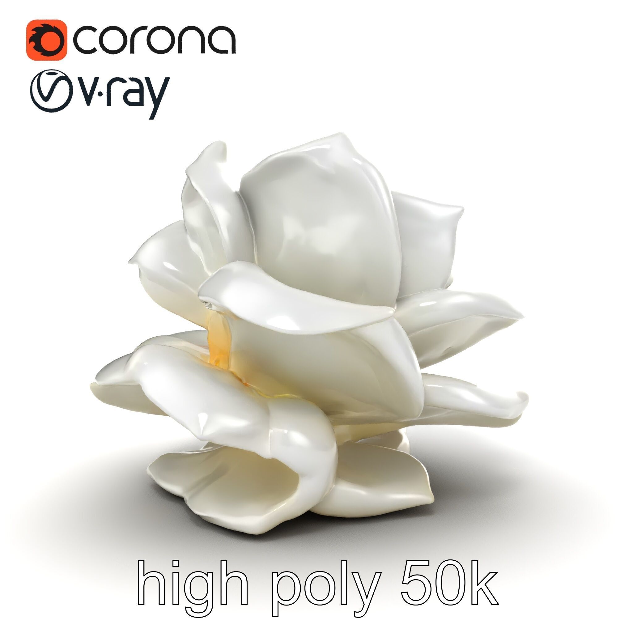 Rosa Alba White Rose Floral Model Pack Low-poly 3D model_14