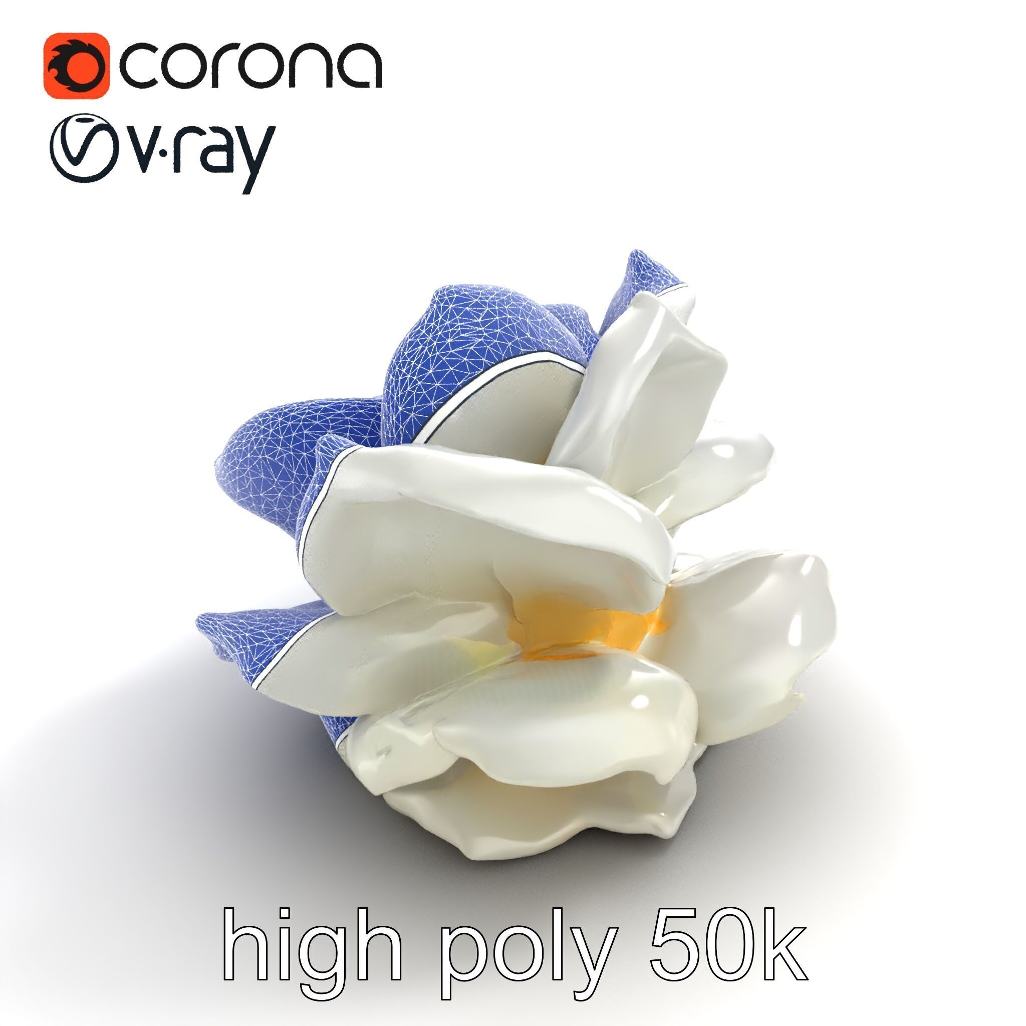 Rosa Alba White Rose Floral Model Pack Low-poly 3D model_24
