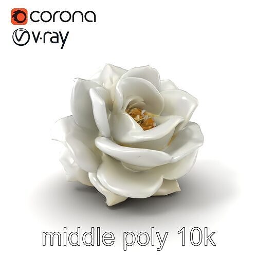 3D model Rosa Alba White Rose Floral Model Pack VR / AR / low-poly ...