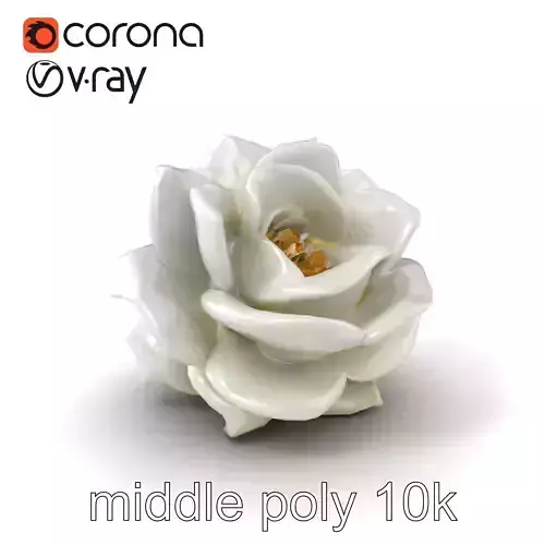 Rosa Alba White Rose Floral Model Pack Low-poly 3D model