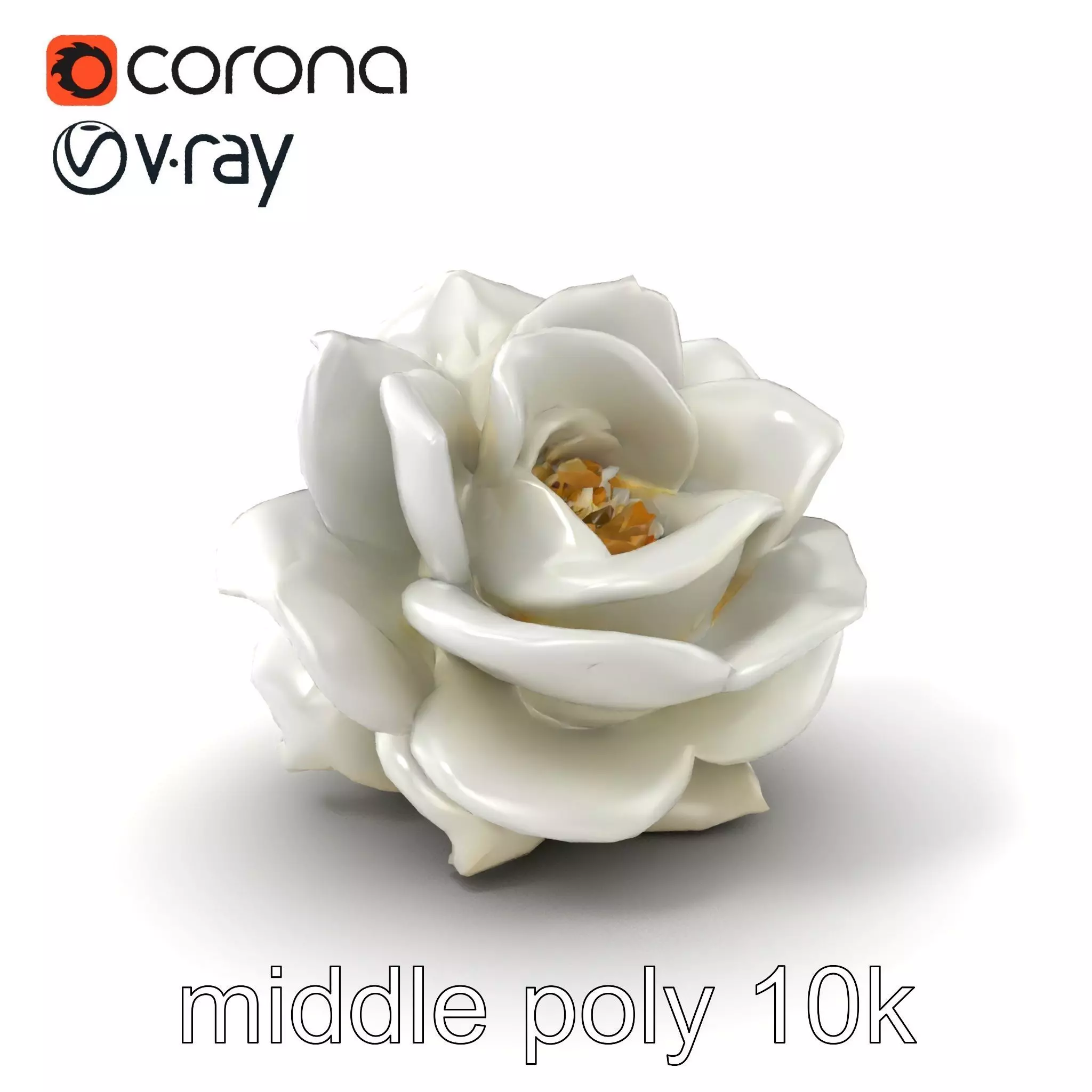 Rosa Alba White Rose Floral Model Pack Low-poly 3D model_0