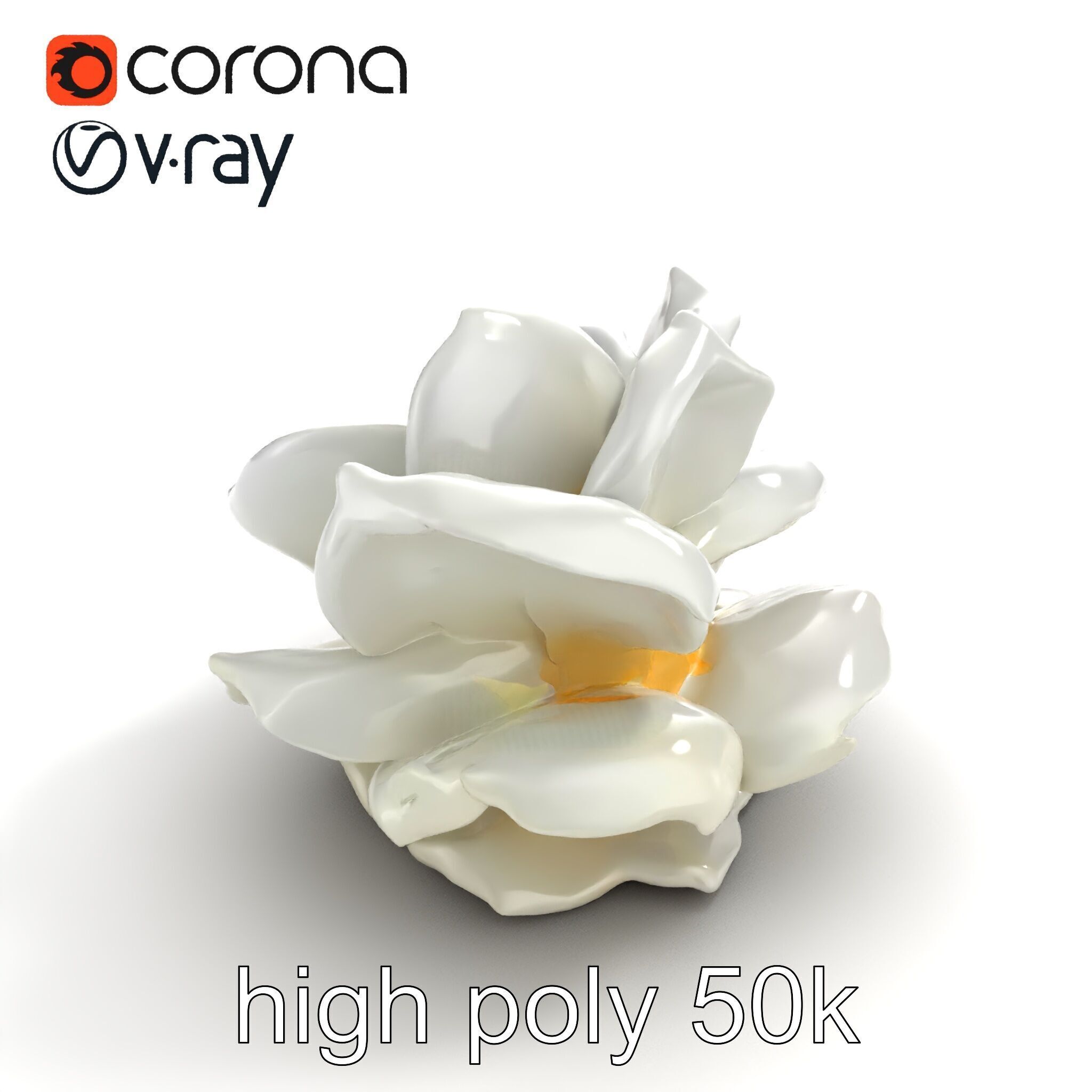 Rosa Alba White Rose Floral Model Pack Low-poly 3D model_9