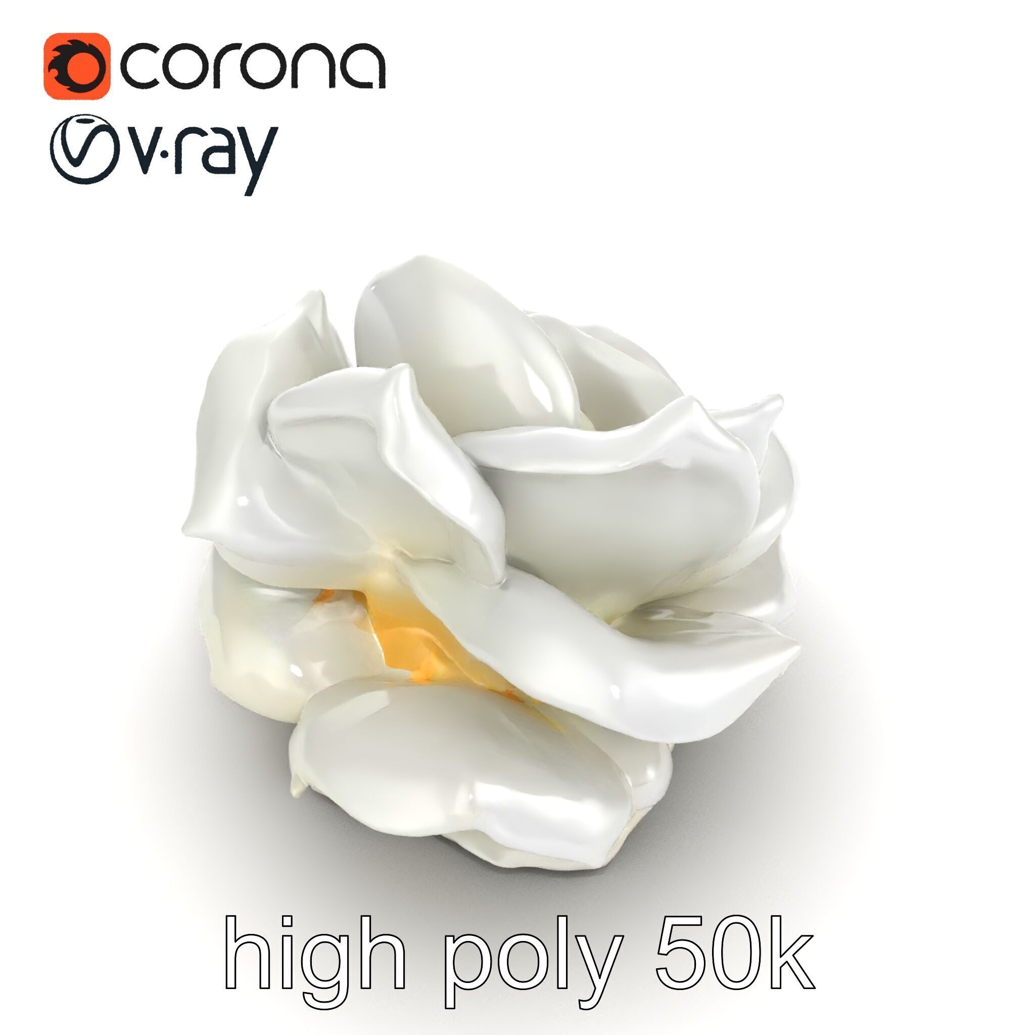Rosa Alba White Rose Floral Model Pack Low-poly 3D model_18