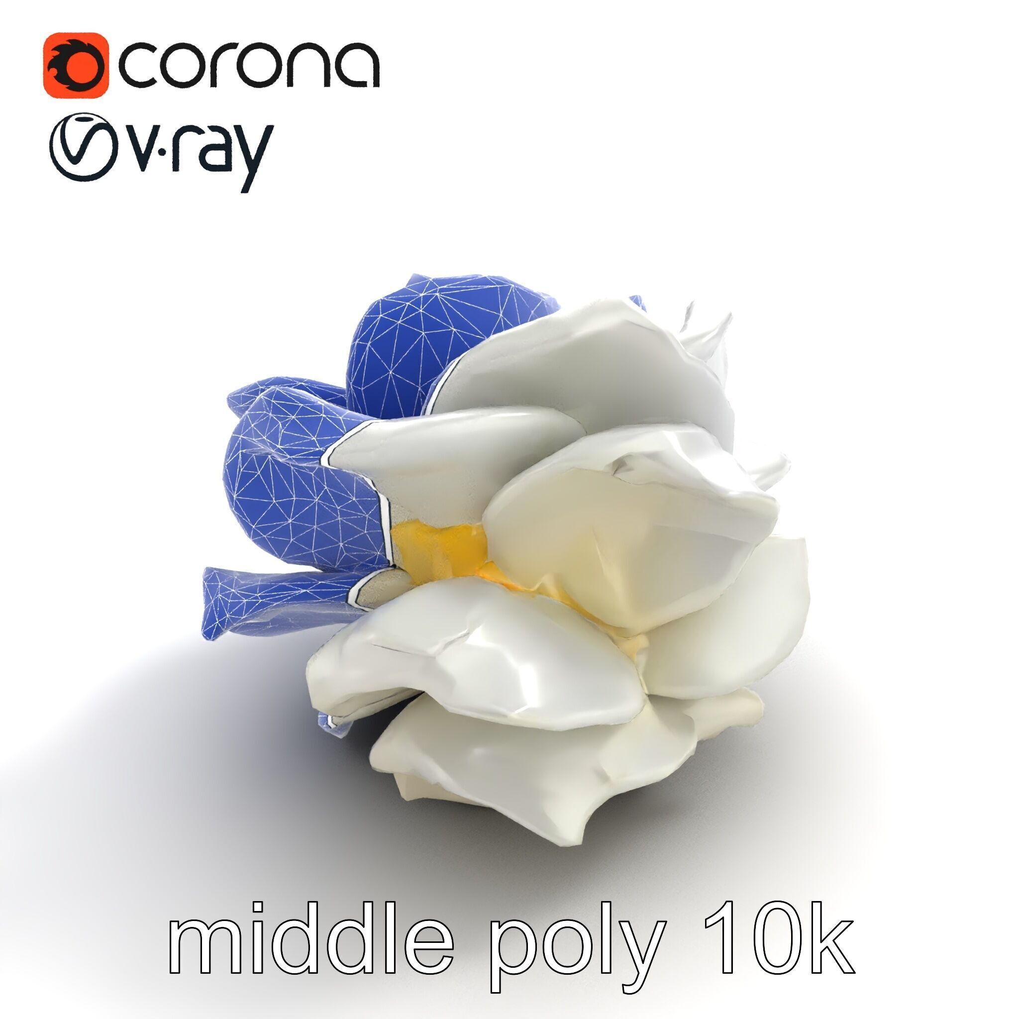 Rosa Alba White Rose Floral Model Pack Low-poly 3D model_11