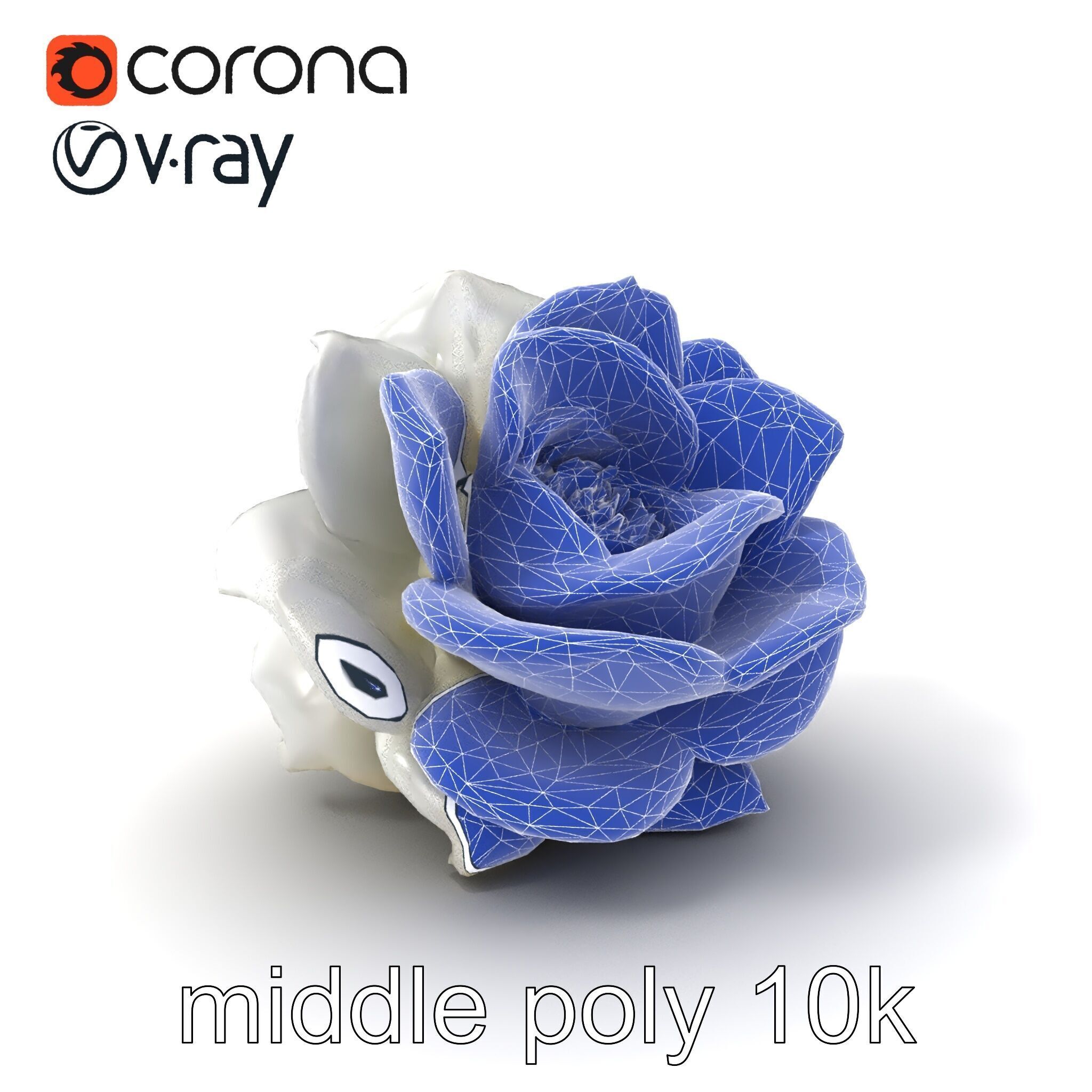 Rosa Alba White Rose Floral Model Pack Low-poly 3D model_5