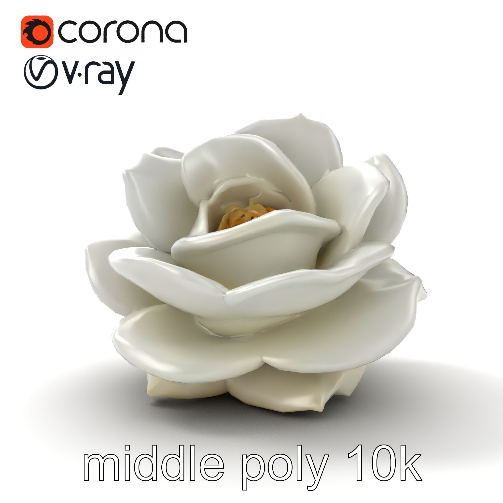 Rosa Alba White Rose Floral Model Pack Low-poly 3D model_20