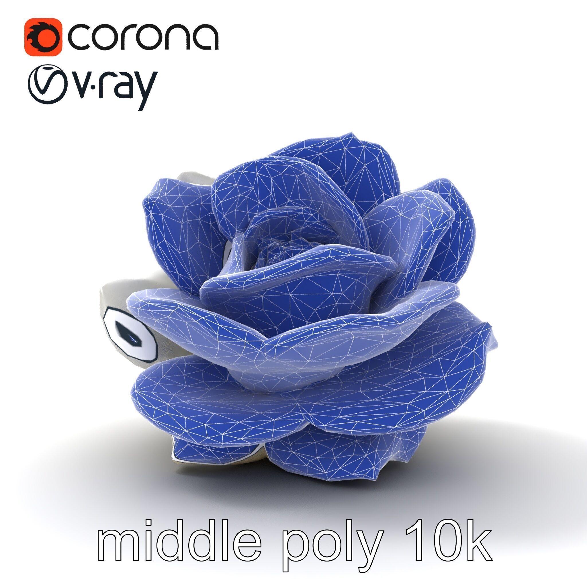 Rosa Alba White Rose Floral Model Pack Low-poly 3D model_16