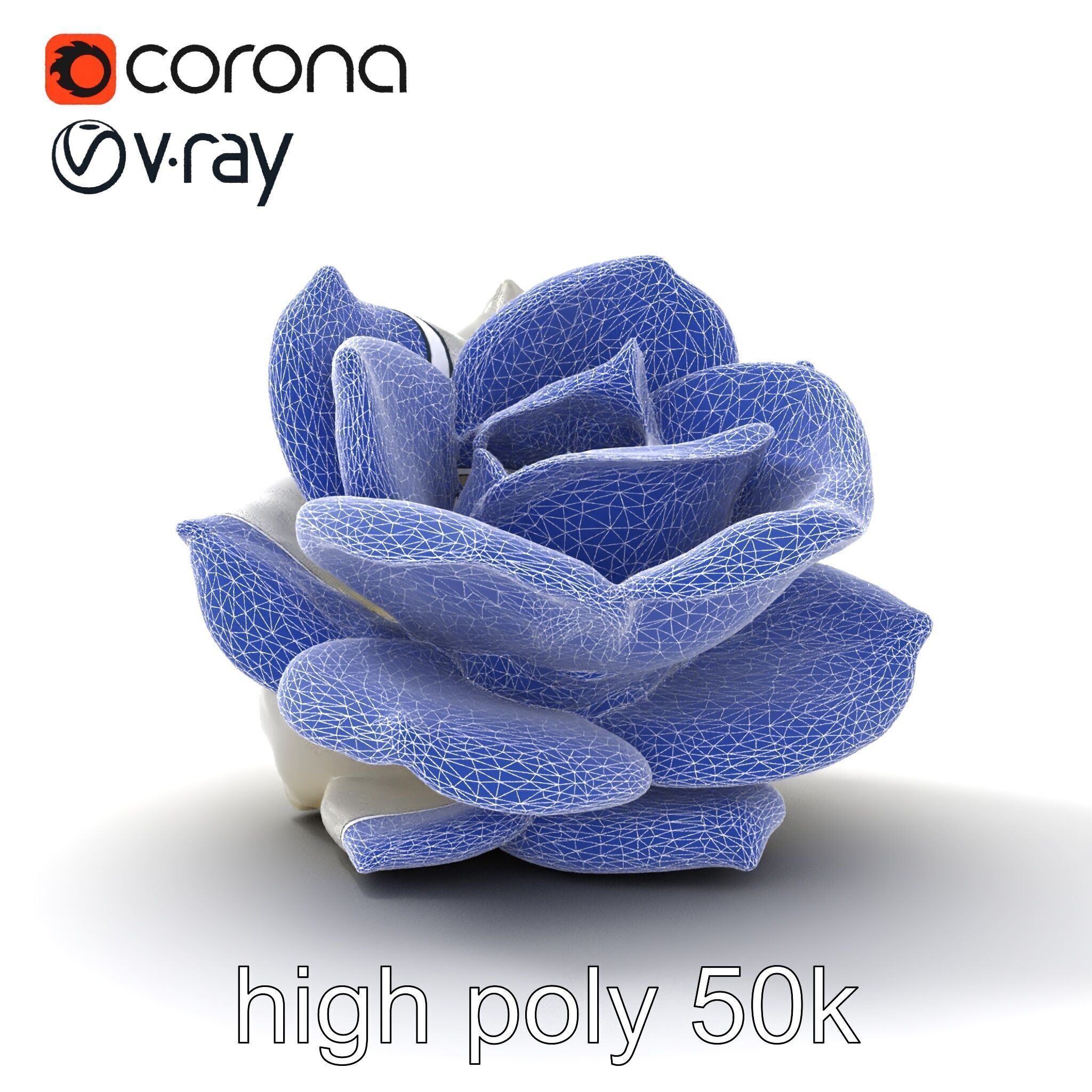 Rosa Alba White Rose Floral Model Pack Low-poly 3D model_29