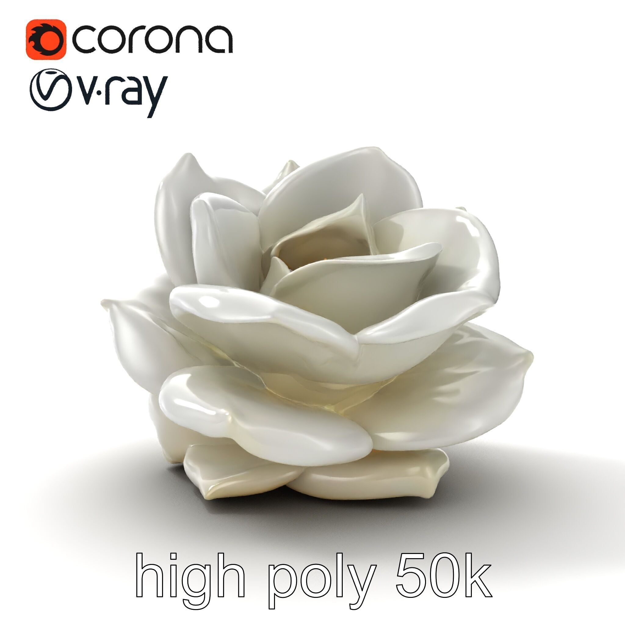 Rosa Alba White Rose Floral Model Pack Low-poly 3D model_13