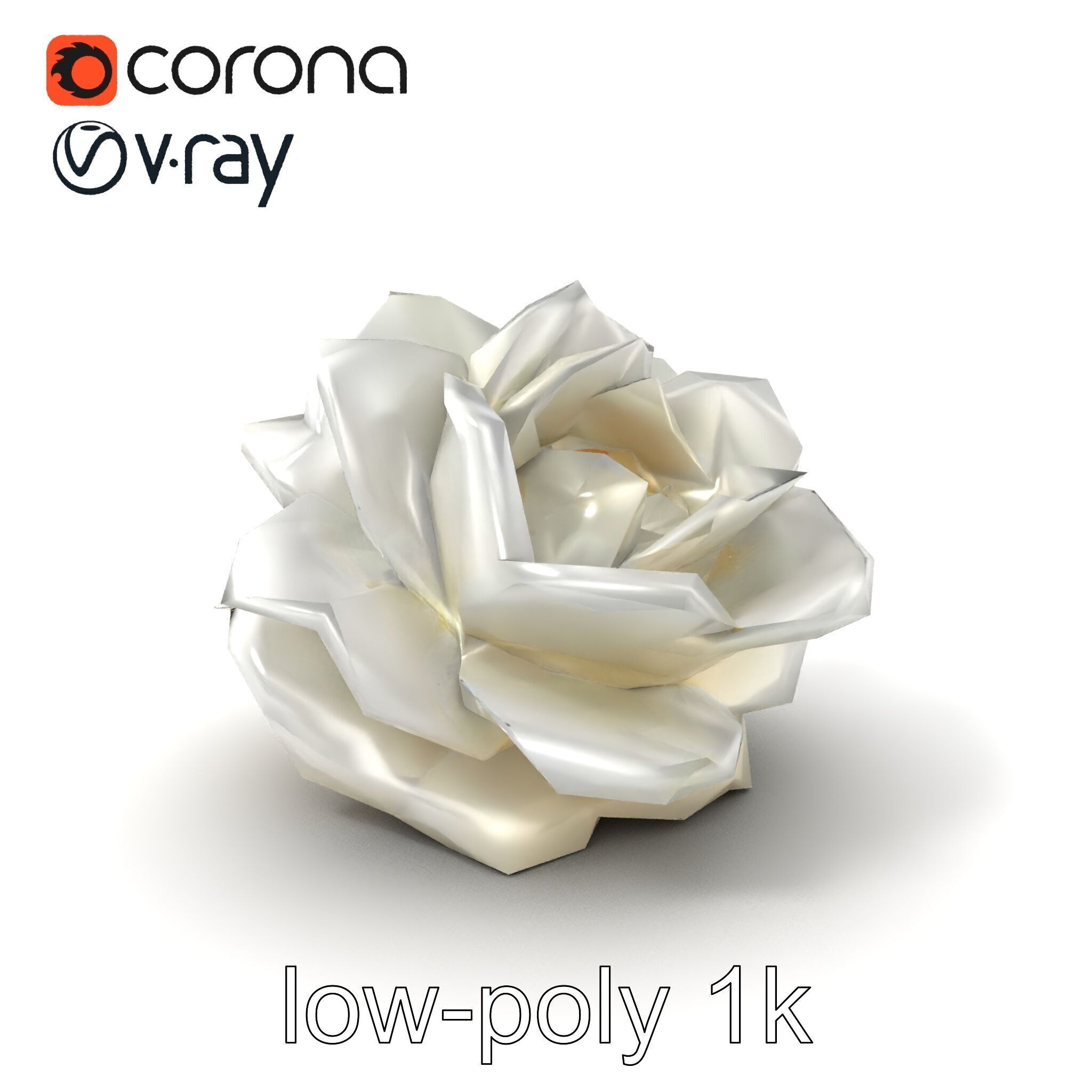 Rosa Alba White Rose Floral Model Pack Low-poly 3D model_4