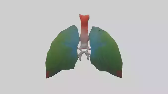 Parrot Lungs