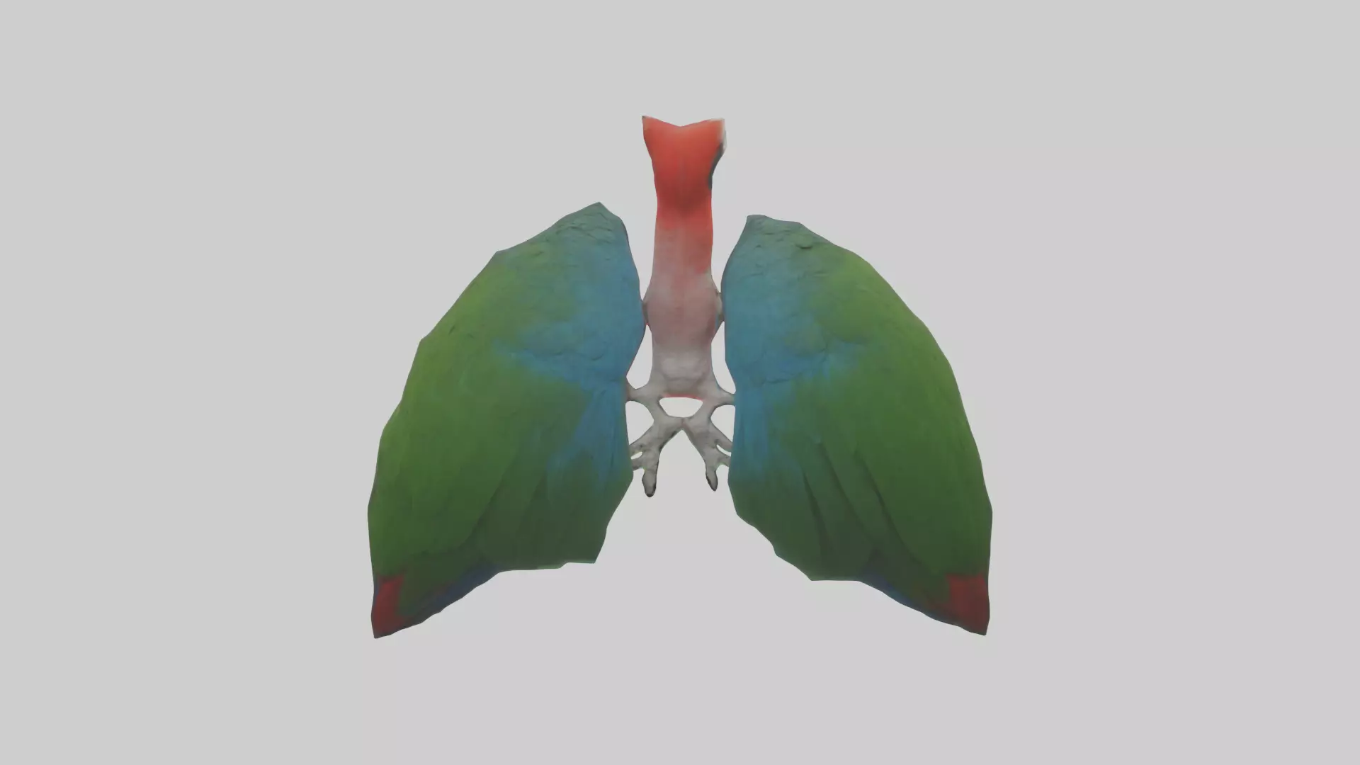 Parrot Lungs Low-poly 3D model_0