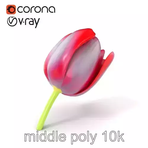 Tulipa Black Petal Sculpture model pack Low-poly 3D model