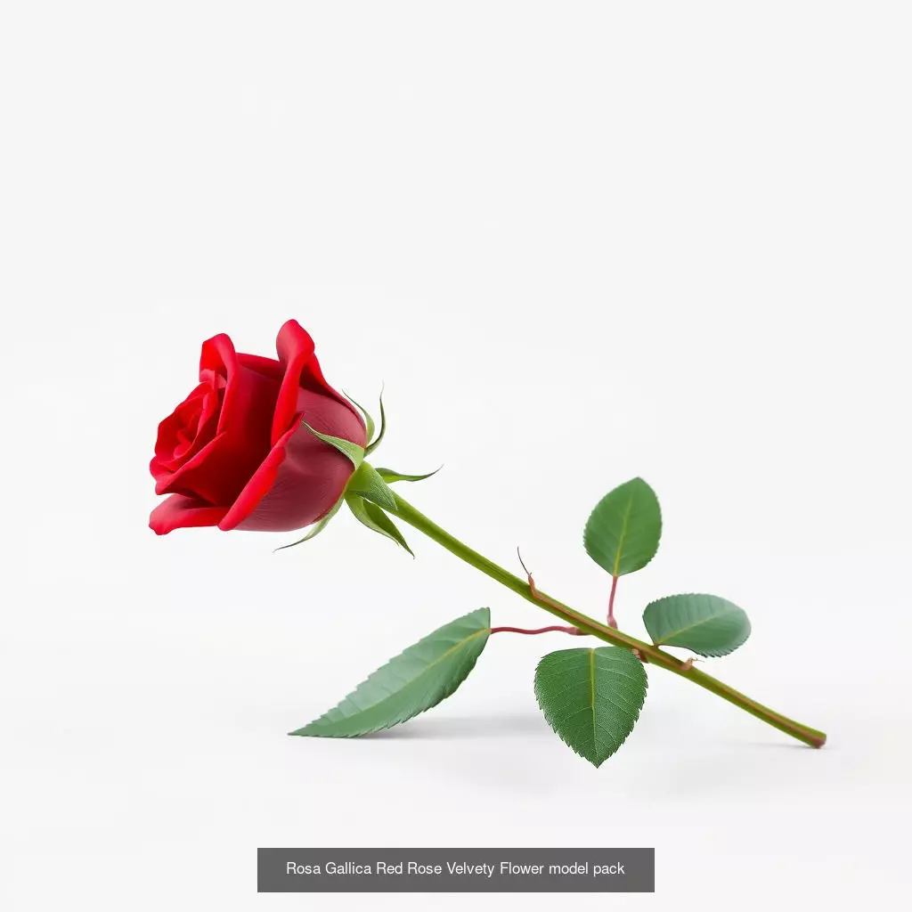 Exquisite 3D Rose Collection _0