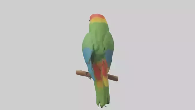 Parrot perched model