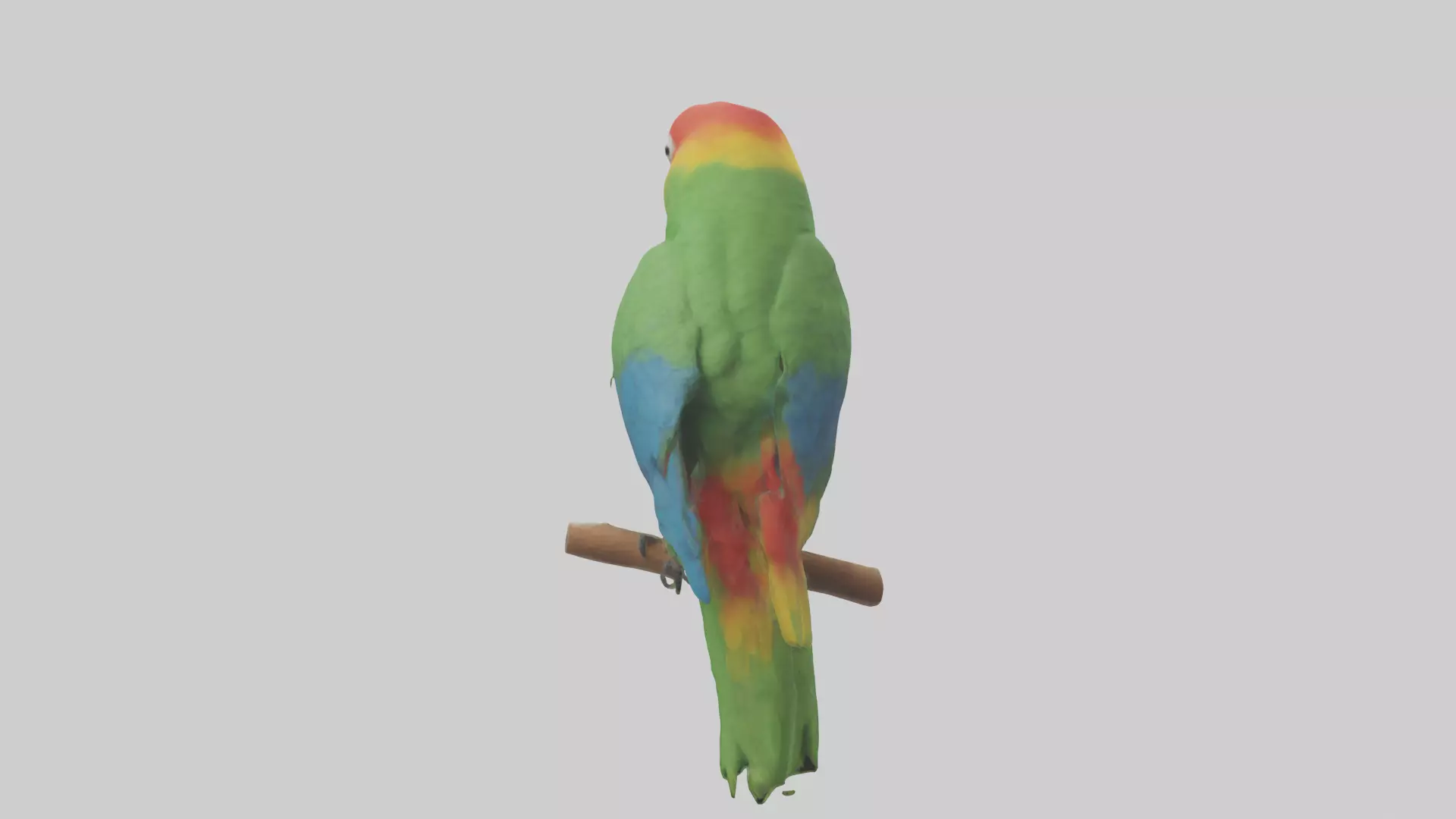 Parrot perched model Low-poly 3D model_0