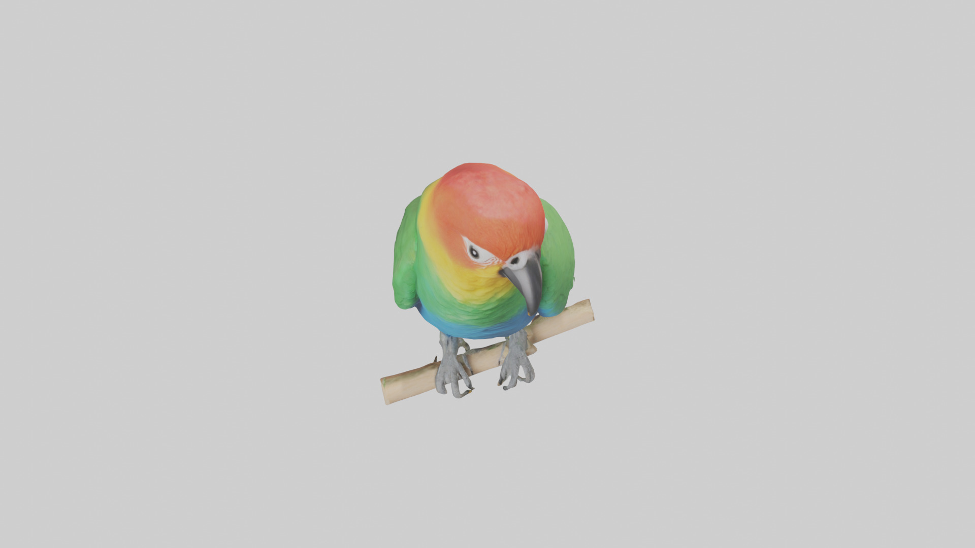 Parrot perched model Low-poly 3D model_16