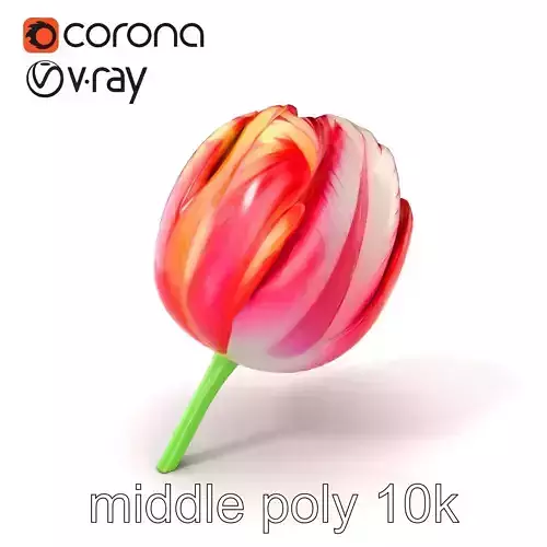 Parrot Tulip Flower Wavy Petals model pack Low-poly 3D model